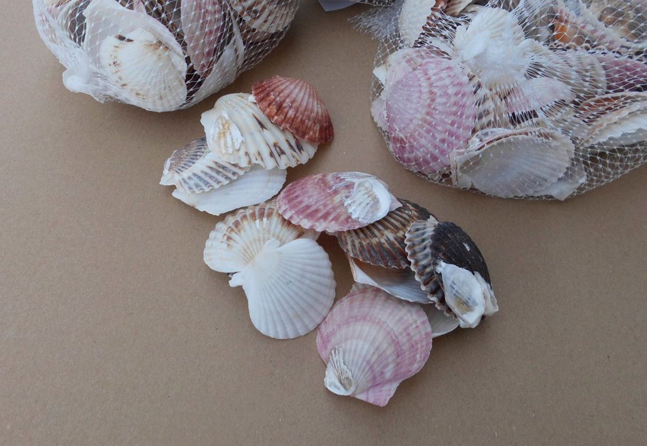 Deko-Impression Streudeko 3 Netze echte Muscheln ca. 3 - 6 cm, braun-beige. Streudeko, (3-tlg)