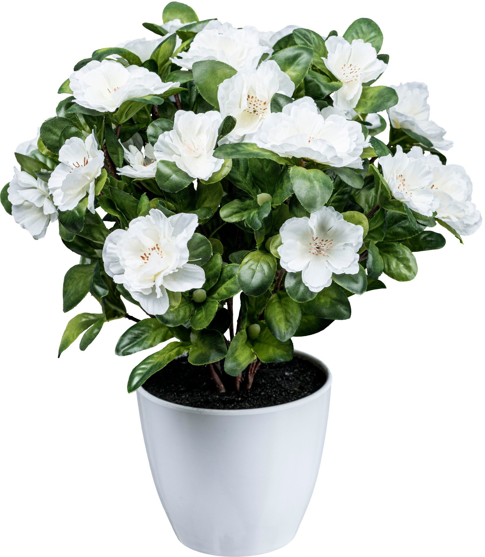 Kunstblume Azaleenbusch Azalee, Creativ green, Höhe 32 cm günstig online kaufen