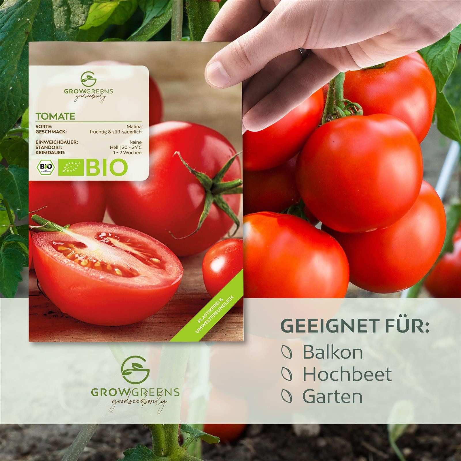 Growgreens Gemüsesamen BIO Tomatensamen (Matina) - Tomaten Saatgut (10 Korn günstig online kaufen
