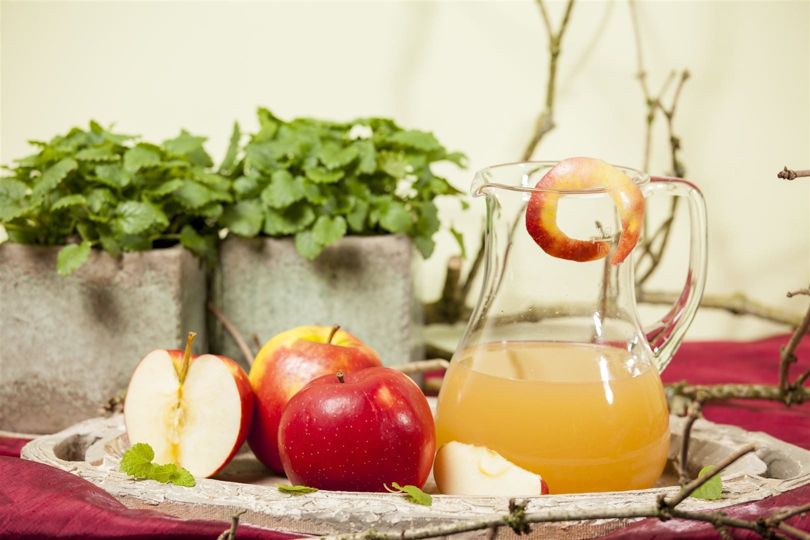 Pflanzen für Dich Obstpflanze Malus 'Jonagold', 1 St., Jonagold-Apfel, Apfe günstig online kaufen