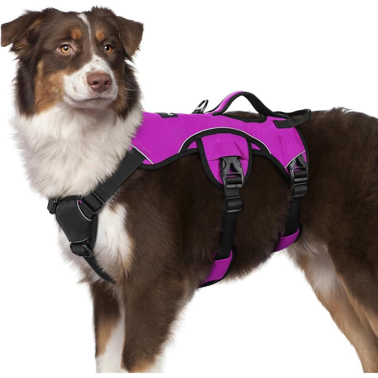 LuxusKollektion Hunde-Sicherheitsgeschirr Hundegeschirr Ausbruchsichere Anti Zug Brustgeschirr M (1er Pack) Lila