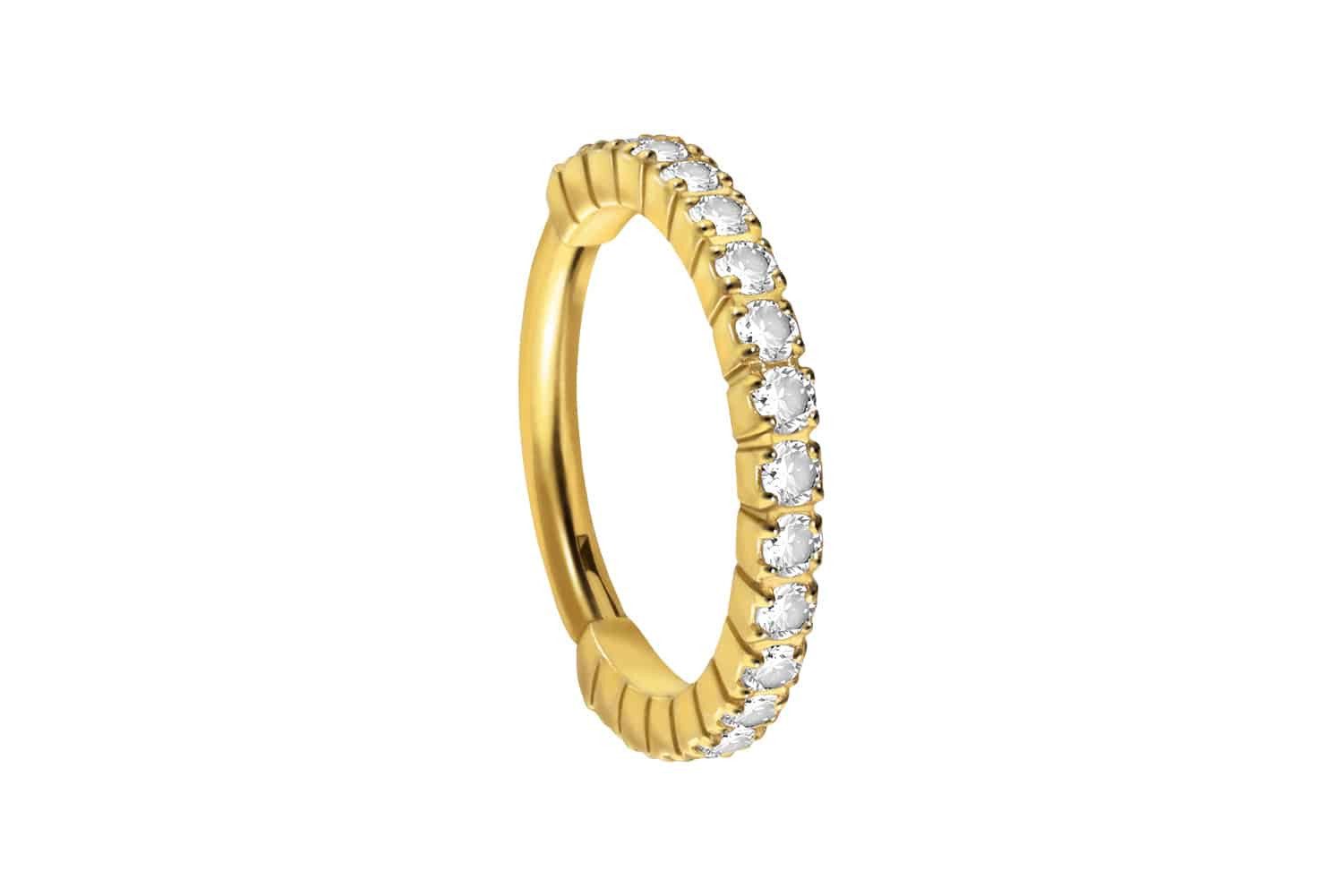PIERCINGLINE Nasenpiercing Titan Segmentring Clicker EINGEFASSTE günstig online kaufen