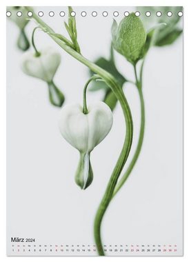 CALVENDO Wandkalender Pure Flowers (Tischkalender 2024 DIN A5 hoch), CALVENDO Monatskalender