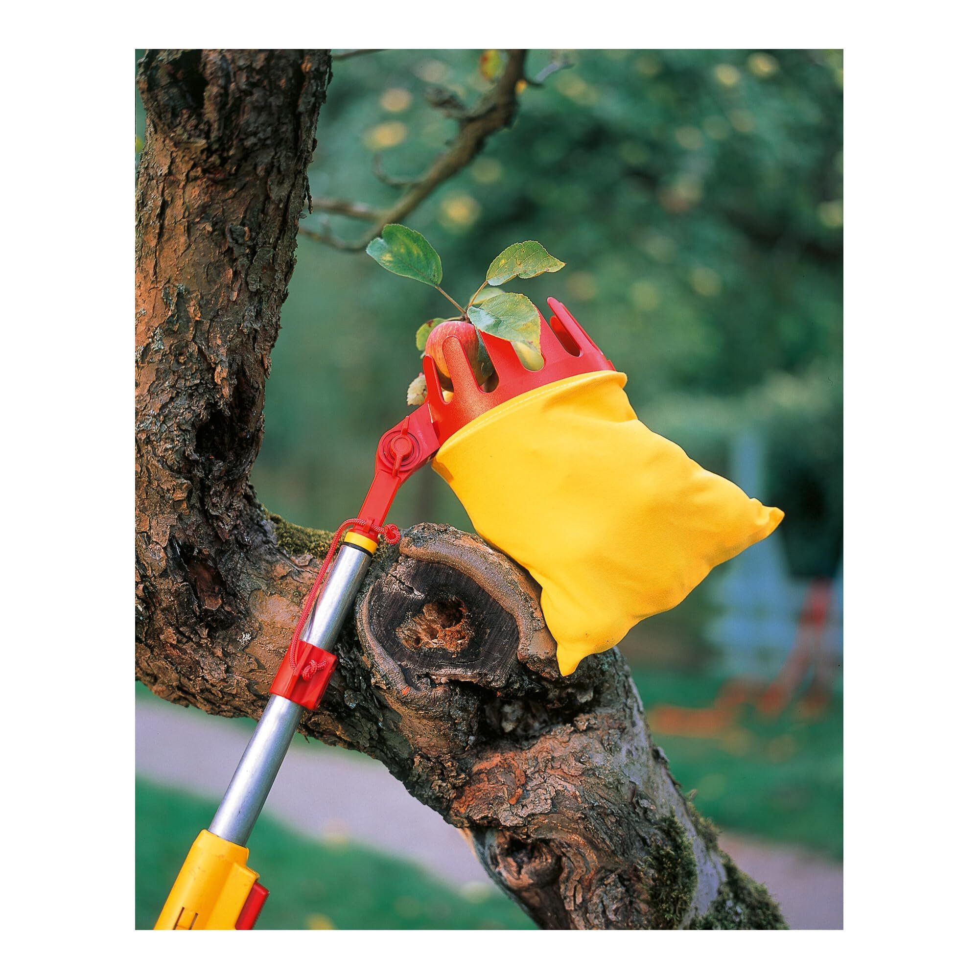 WOLF-Garten Obstpflücker WOLF-Garten multi-star® Obstpflücker RG-M