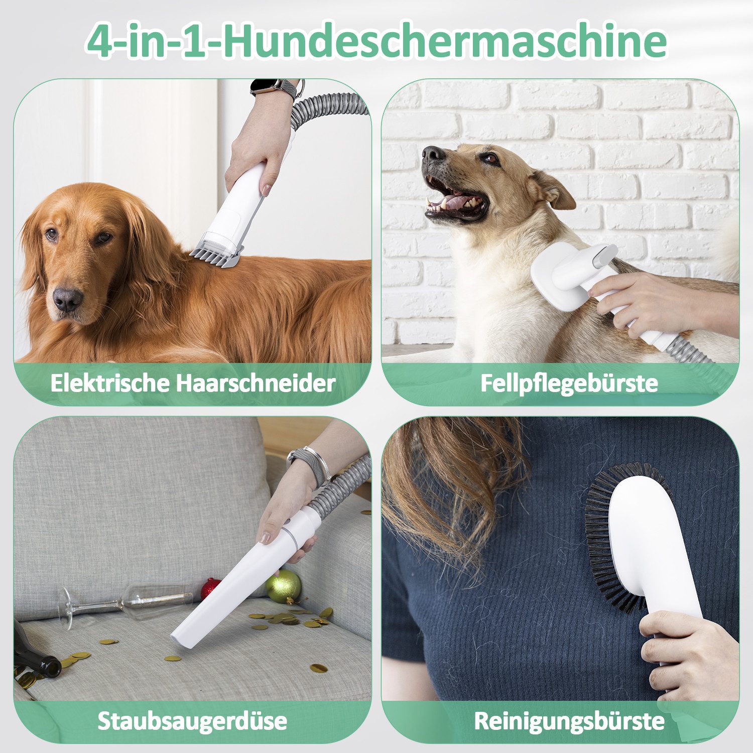 CkeyiN Hundeschermaschine mit Staubsauger 10kpa Profi günstig online kaufen