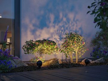 Paulmann LED Gartenleuchte Kikolo, LED fest integriert, Warmweiß, Outdoor 230V Spot Kikolo 60° 3000K anthrazit