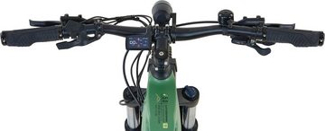 Prophete E-Bike Prophete Stack 5.0, 10 Gang Shimano, Kettenschaltung, Mittelmotor, 720 Wh Akku, Pedelec