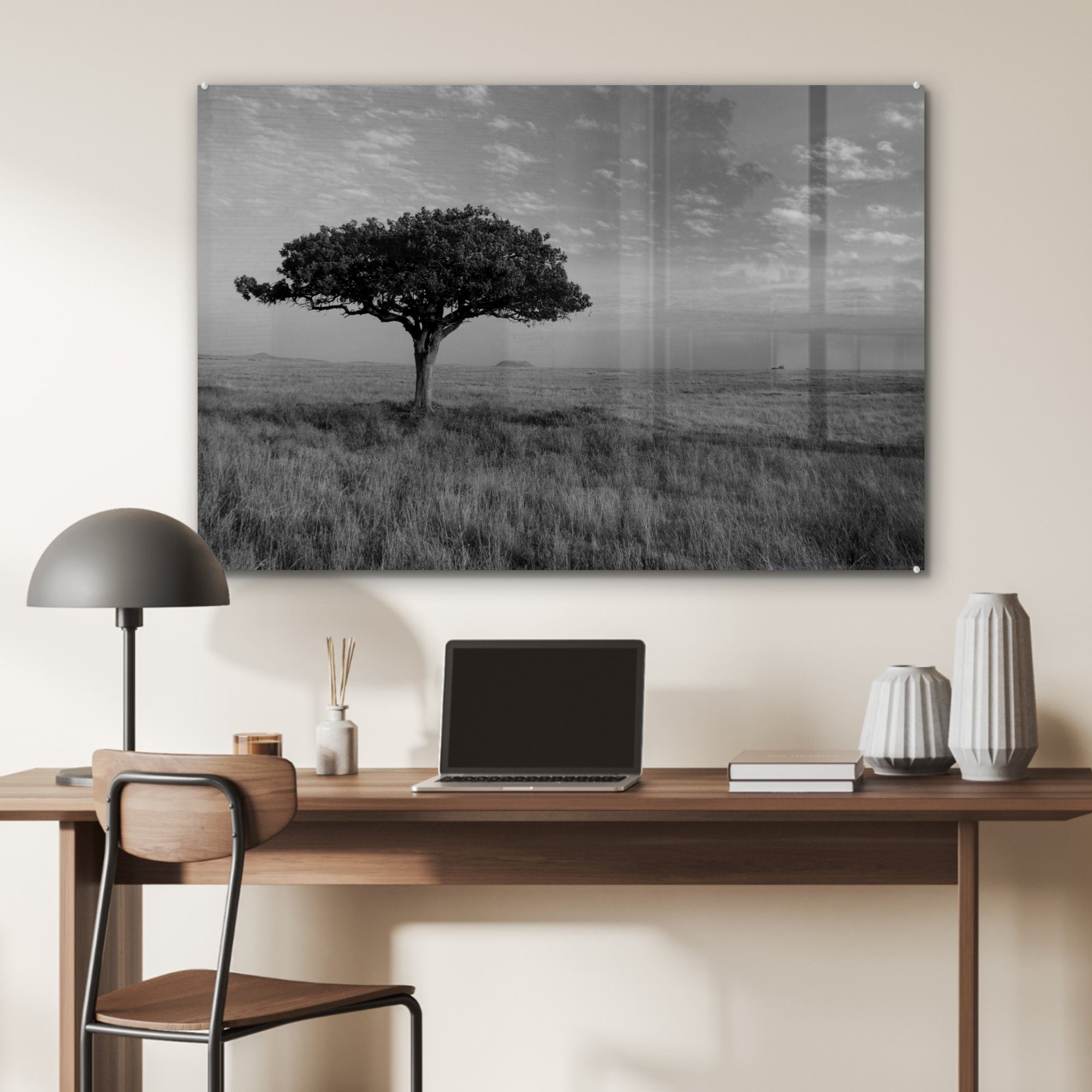 MuchoWow Acrylglasbild Stehender Akazienbaum der Ebene in schwarz St), - weiß, & Wohnzimmer (1 und Acrylglasbilder Schlafzimmer