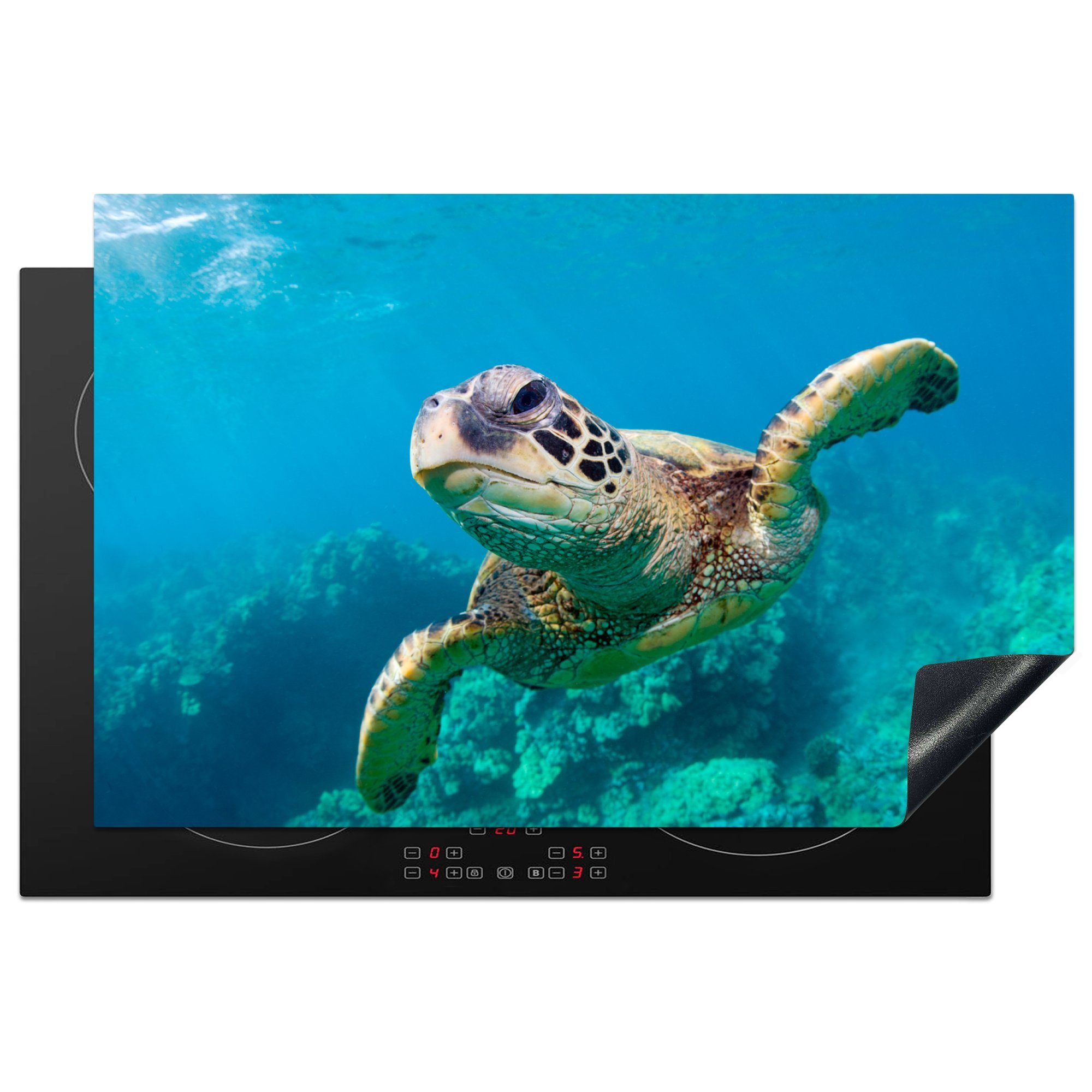 MuchoWow Herdblende-/Abdeckplatte Eine Schildkröte schwimmt durch das Korallenriff vor Hawaii, Vinyl, (1 tlg), 81x52 cm, Induktionskochfeld Schutz für die küche, Ceranfeldabdeckung