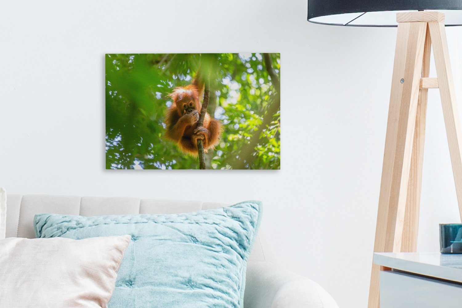 Tiere, Affe OneMillionCanvasses® Baum Leinwandbild Wanddeko, (1 Wandbild cm 30x20 Aufhängefertig, St), Leinwandbilder, - -