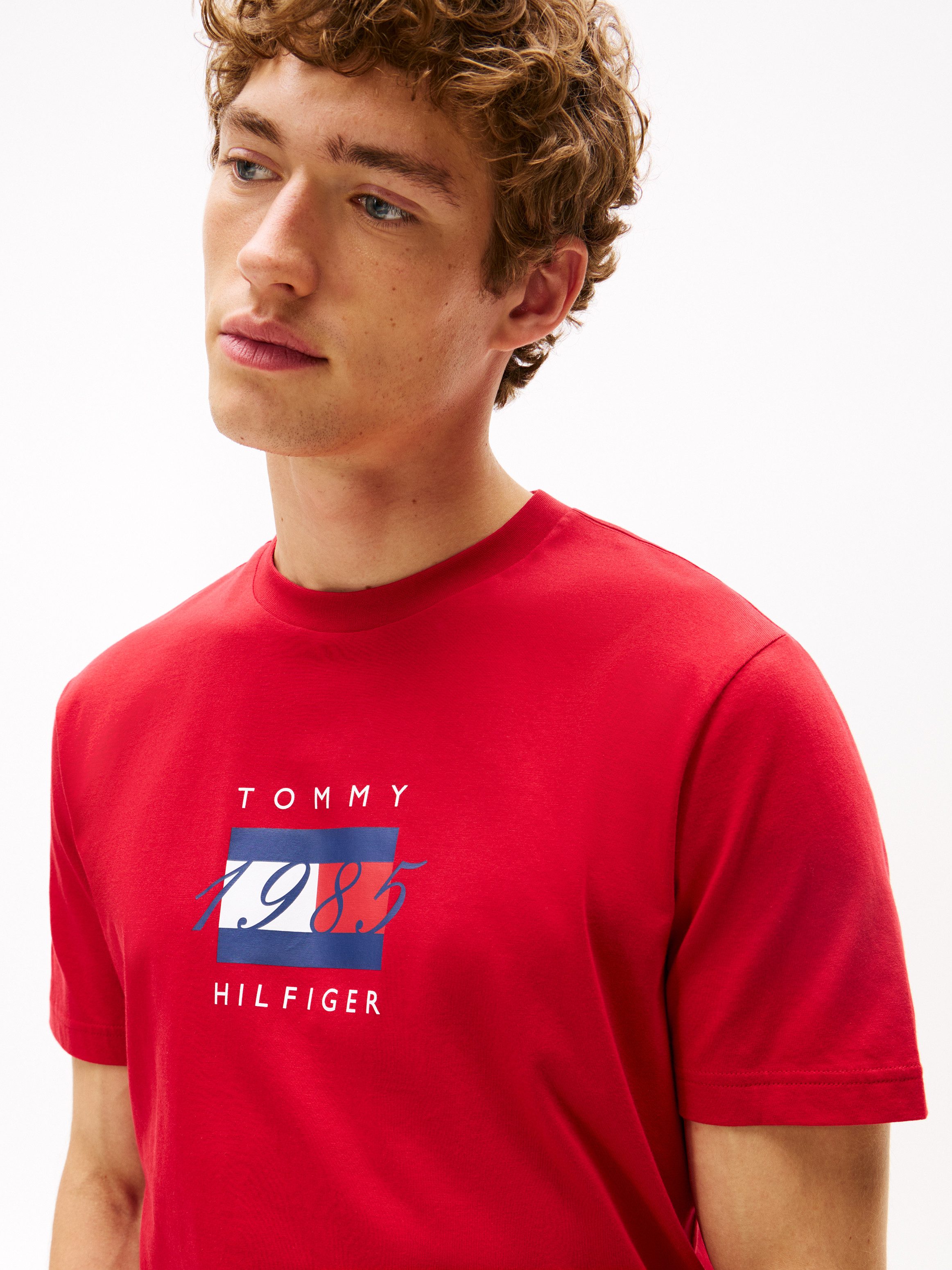 Tommy Hilfiger T-Shirt LINEAR FLAG GRAPHIC Rundhals, regular fit, Jersey günstig online kaufen