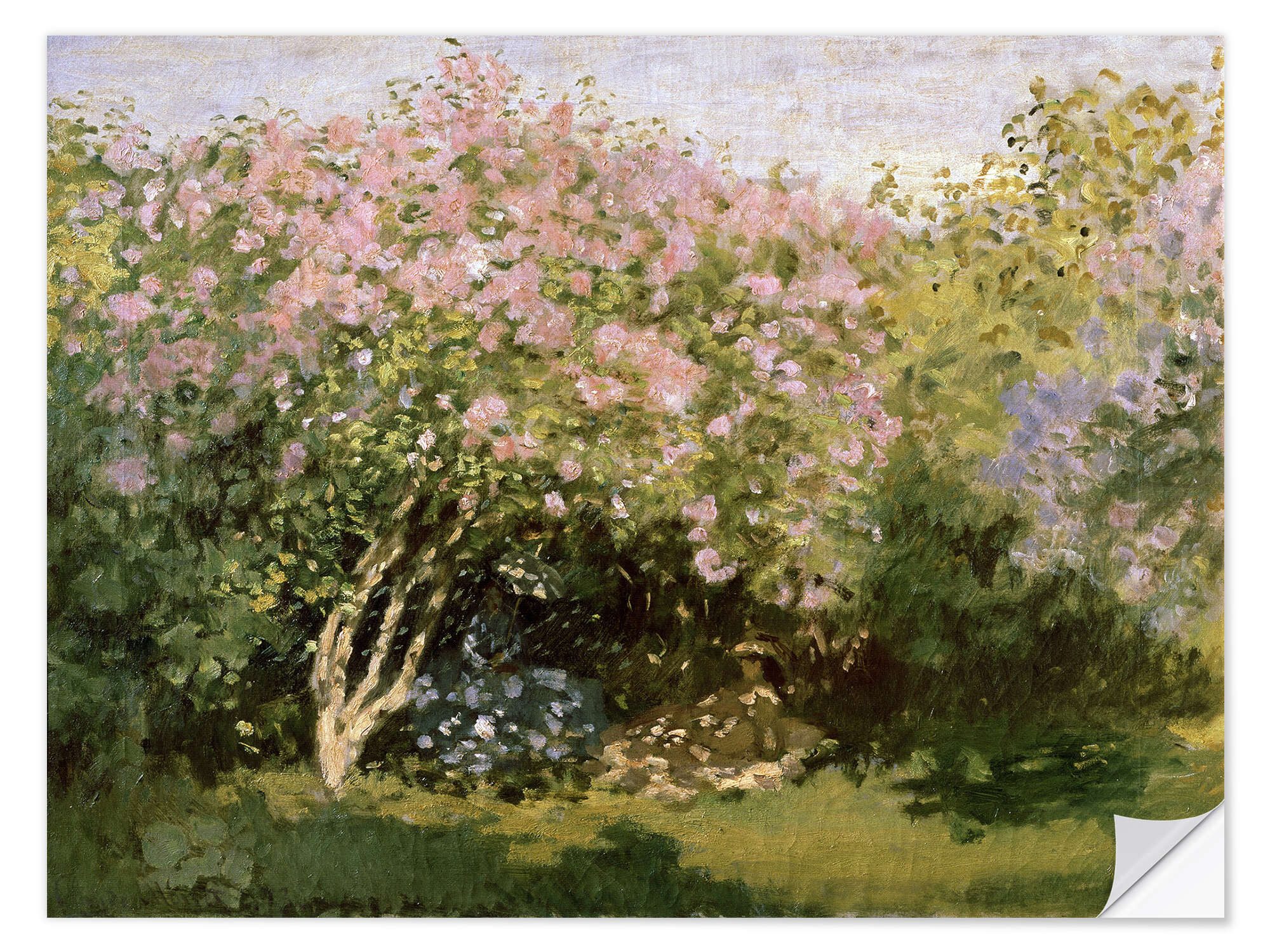 Wandfolie Claude Monet