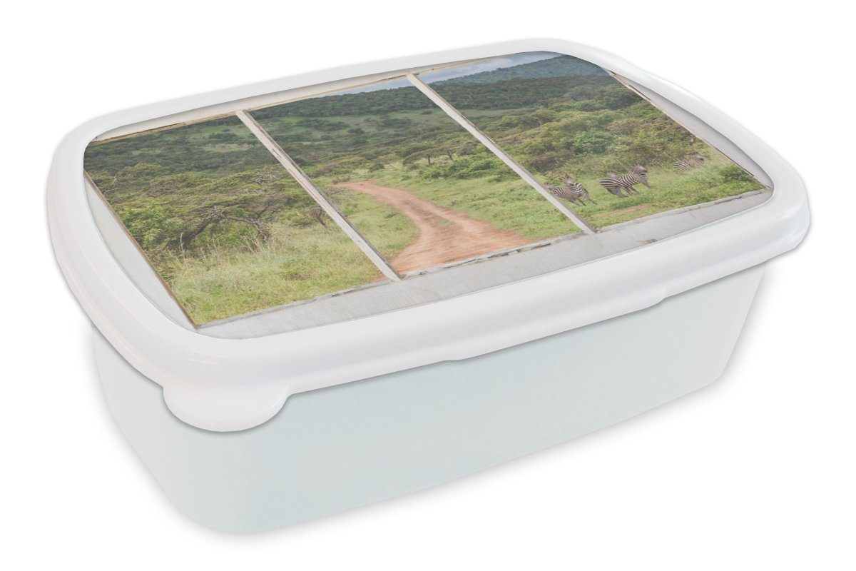 MuchoWow Lunchbox Durchsichtig - für (2-tlg), Brotbox Tiere, Mädchen Zebra Kinder Kunststoff, und Erwachsene, Jungs Brotdose, und für - weiß