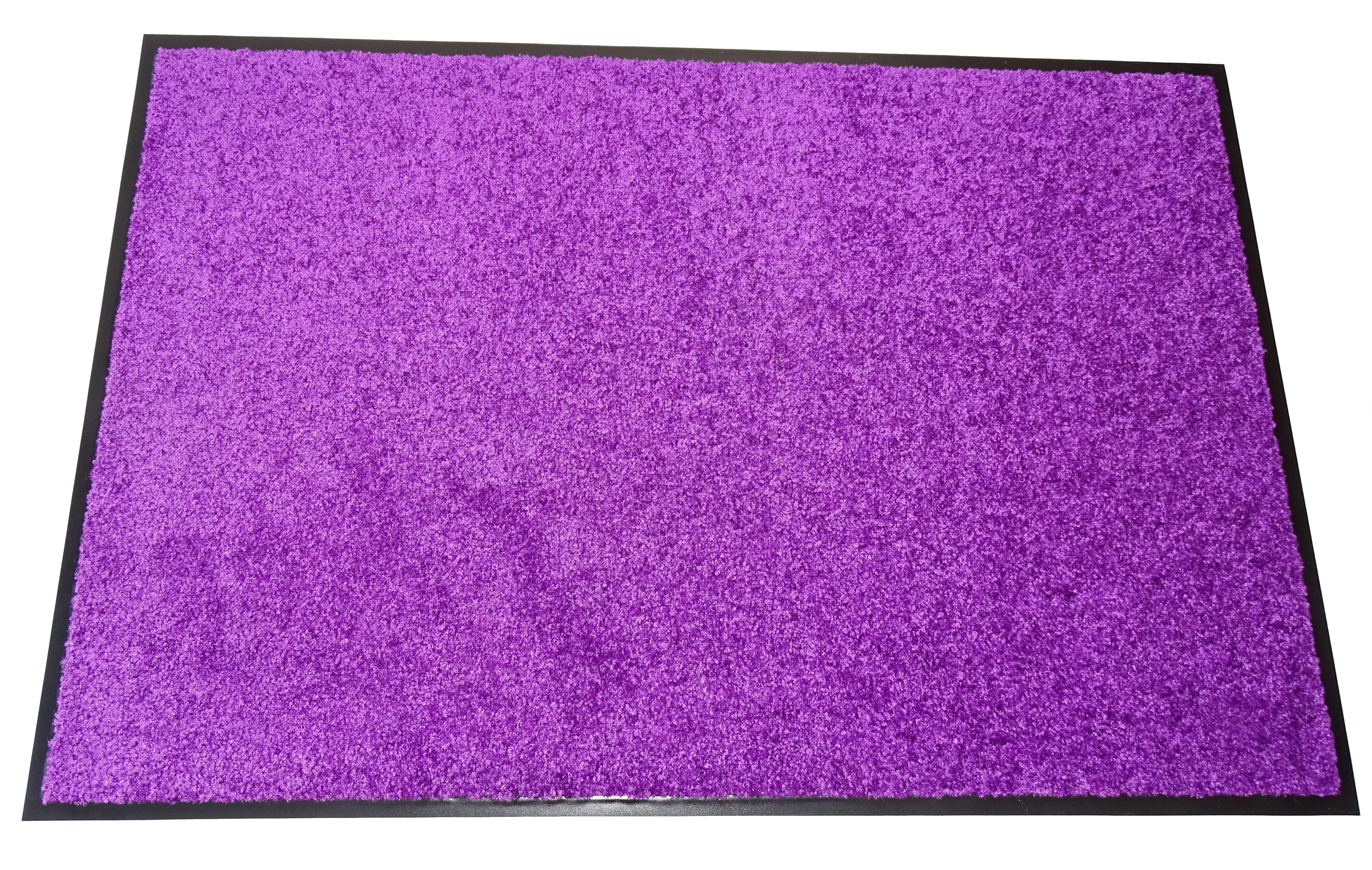 Mertex Fußmatte Kiel, Schmutzfangmatte rundum verlaufender Rand günstig online kaufen