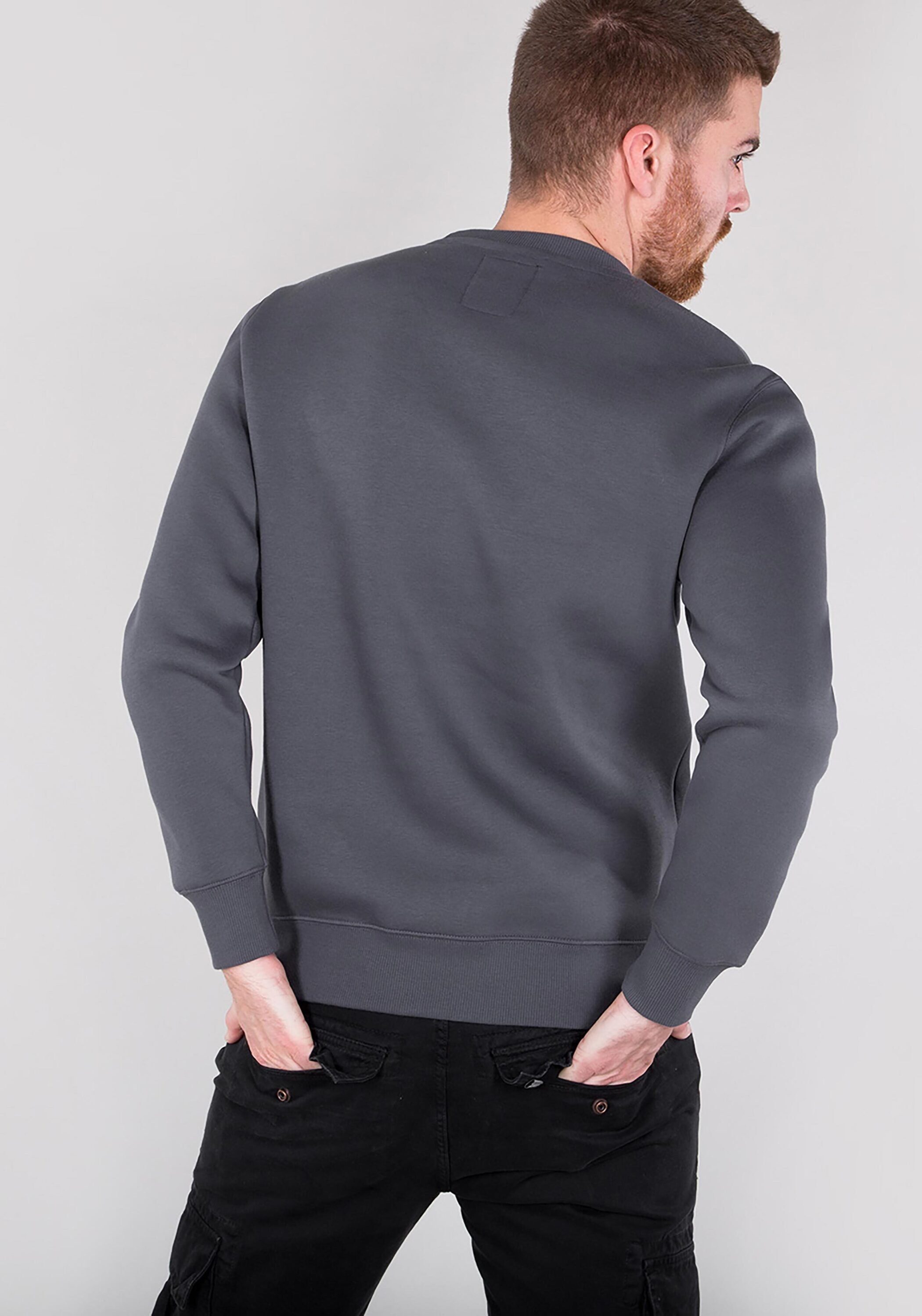 Alpha Industries Sweater Alpha Industries Basic Men Sweater Sweatshirts - greyblack