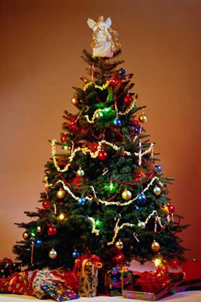 Poster Weihnachten - Poster - Weihnachtsbaum