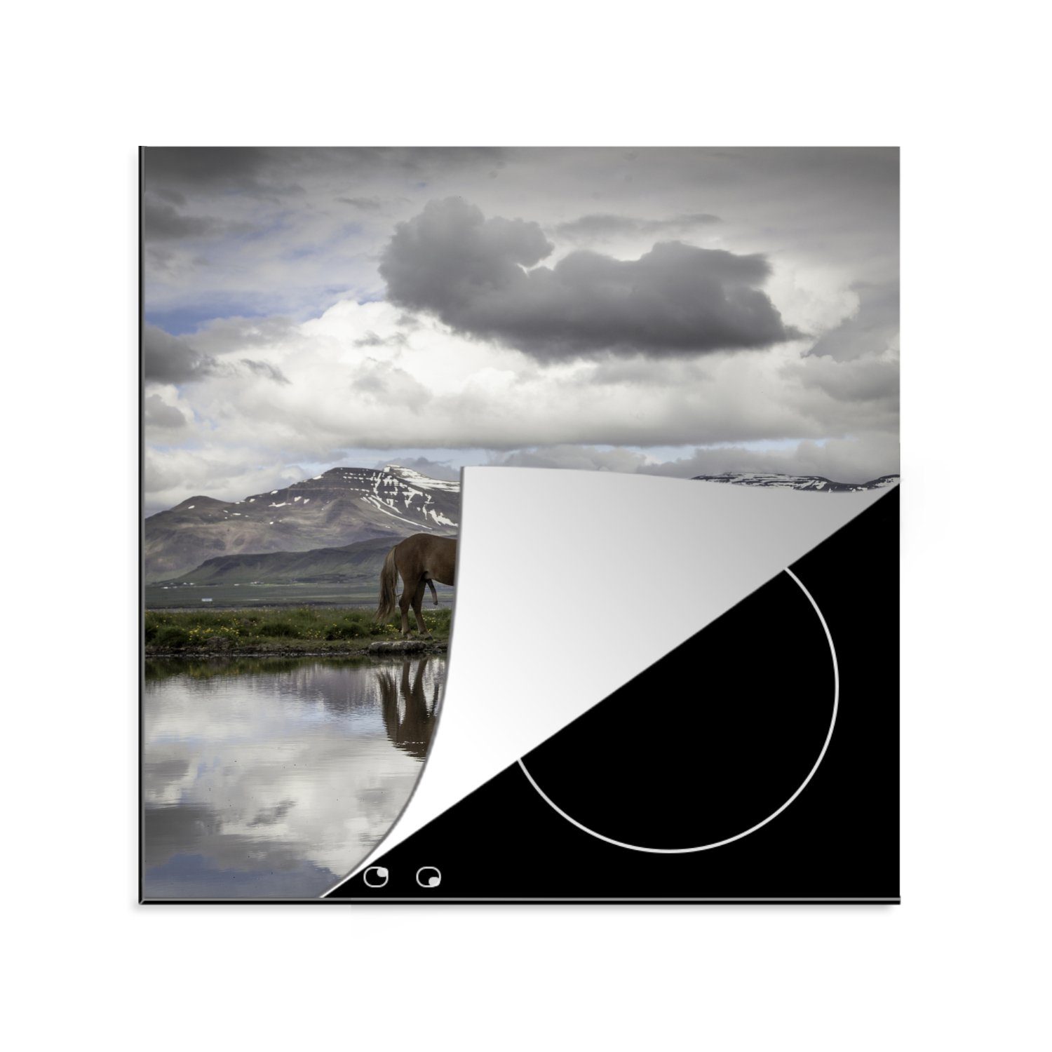 MuchoWow Herdblende-/Abdeckplatte Pferde - Island - Natur, Vinyl, (1 tlg), 78x78 cm, Ceranfeldabdeckung, Arbeitsplatte für küche