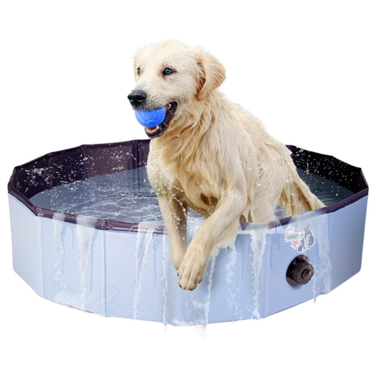 Holland Animal Care Hundepool Hundepool