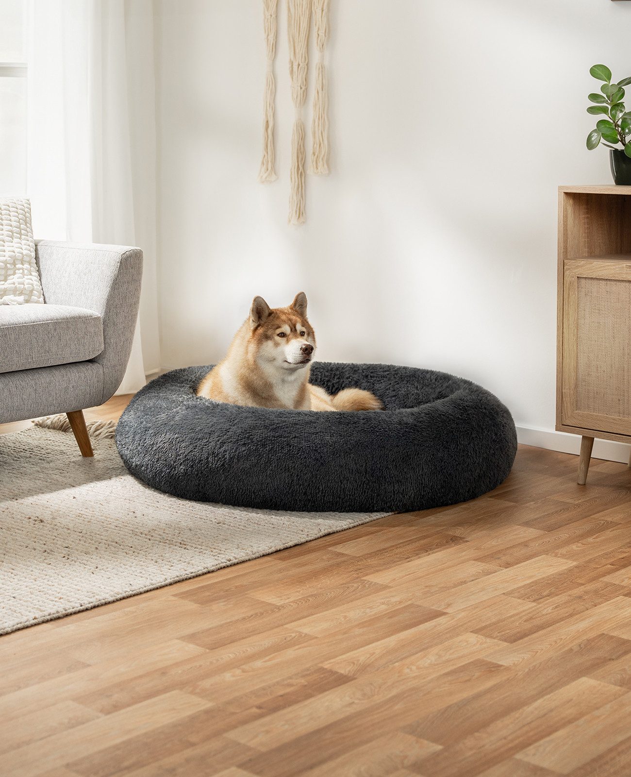 lionto Tierkissen Donut rund mit Rand, Plüschbezug, weiches & gemütliches Hundebett mit Anti-Rutsch-Noppen
