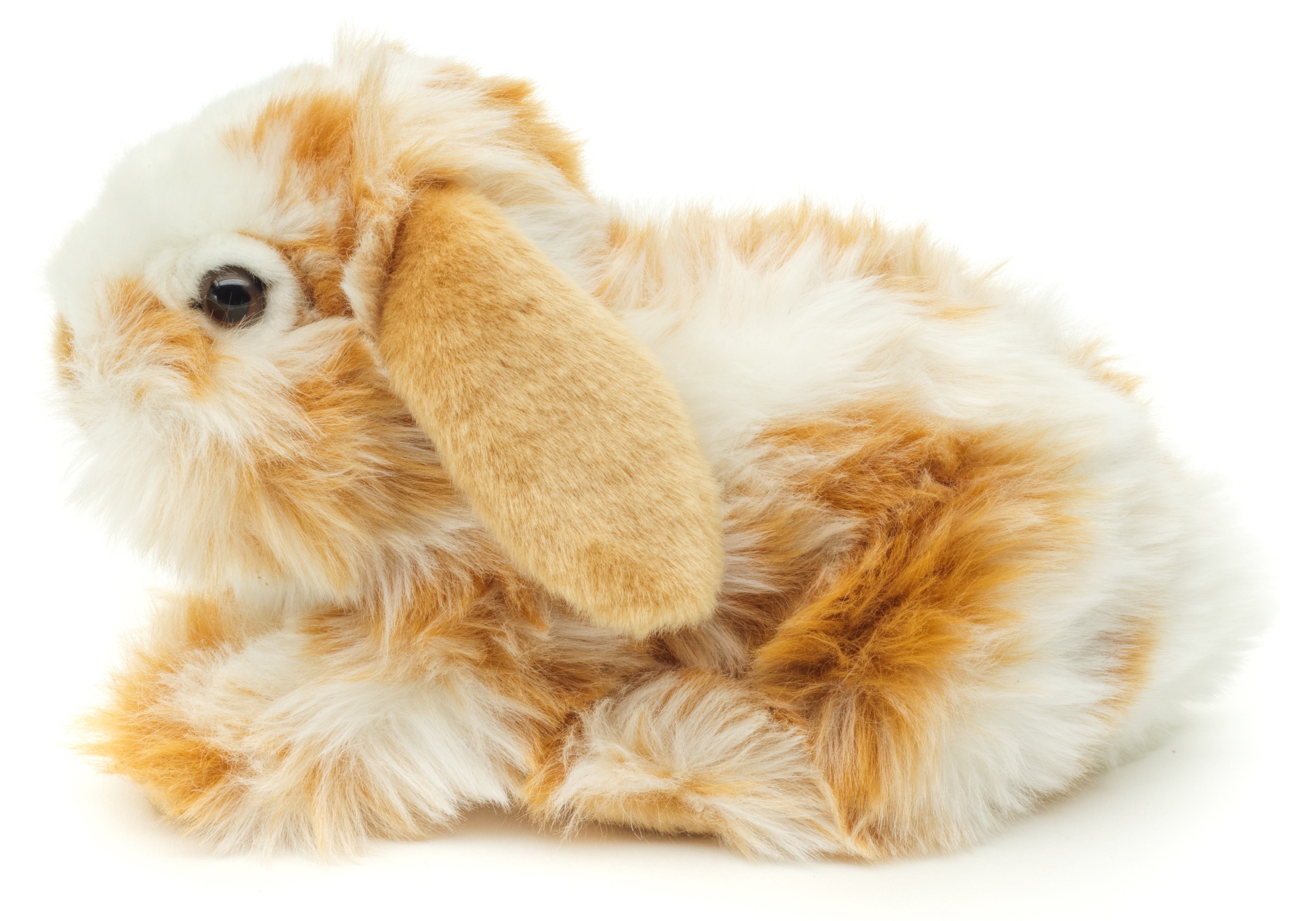 % Hasen, gold-weiß recyceltes Löwenkopf-Kaninchen cm Uni-Toys zu verschiedene - mit 23 gescheckt - hängenden 100 Ohren Füllmaterial Kuscheltier