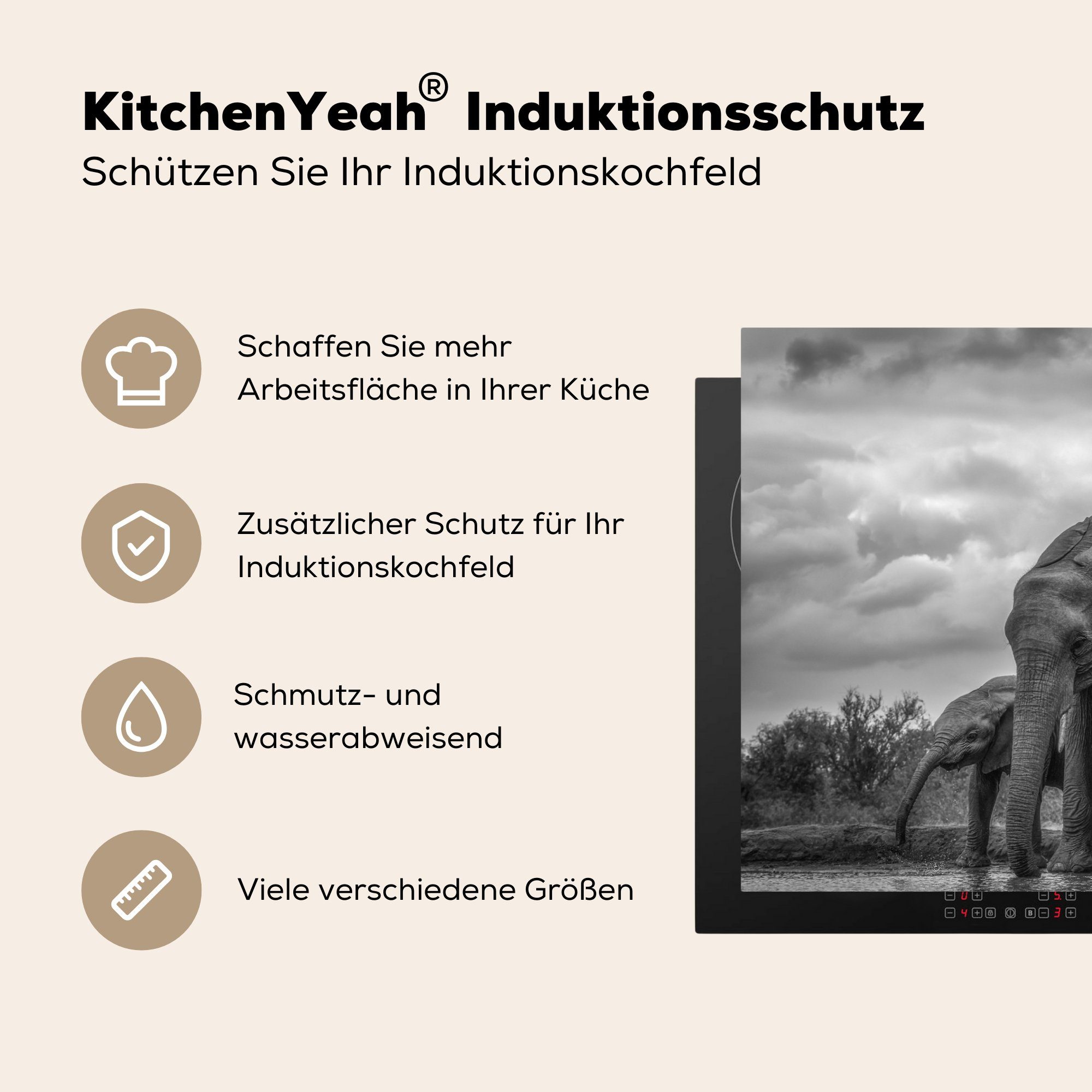 die küche, für Vinyl, - und (1 tlg), weiß, cm, Induktionskochfeld Schwarz MuchoWow Ceranfeldabdeckung 81x52 - Schutz Elefant Herdblende-/Abdeckplatte Wasser Tiere -