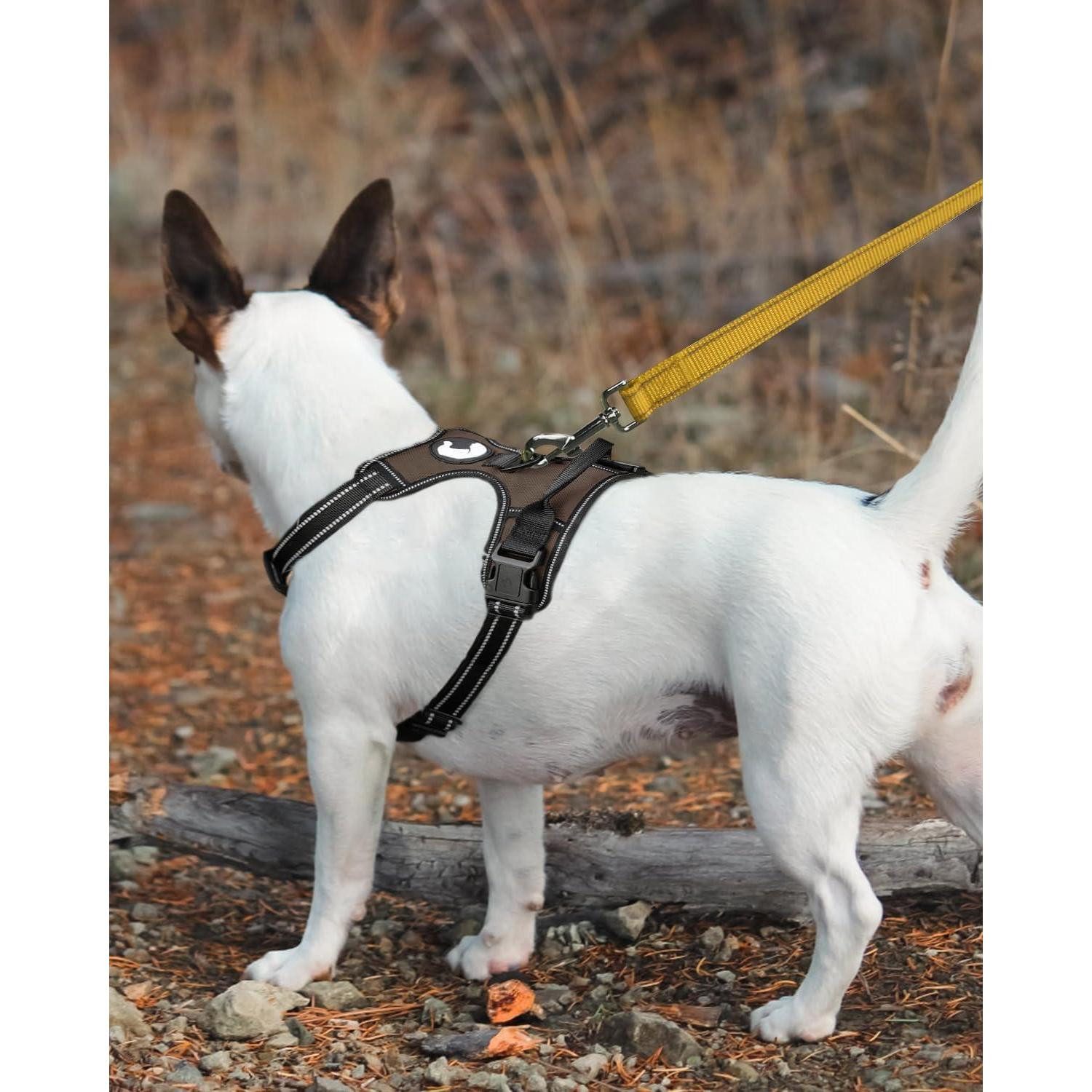 LuxusKollektion Hundeleine Hundeleine kleine Hunde reflektierend 180x2.0 cm 1er Pack Braun