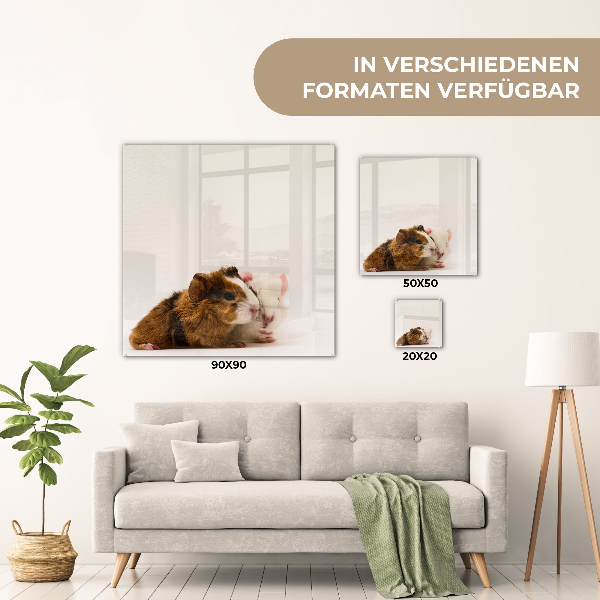 Wandbild Acrylglasbild - Glas Glasbilder Tag (1 auf Baby-Meerschweinchen, einen - Bilder St), - alte MuchoWow Zwei Wanddekoration Glas auf Foto knuddelige,