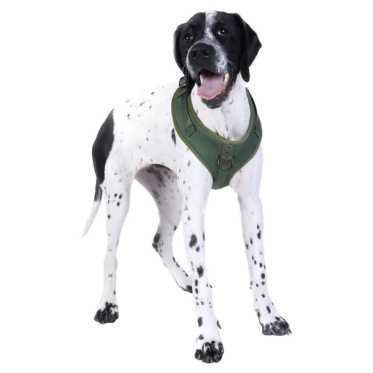 DOOG Hunde-Geschirr Neosport Geschirr grün