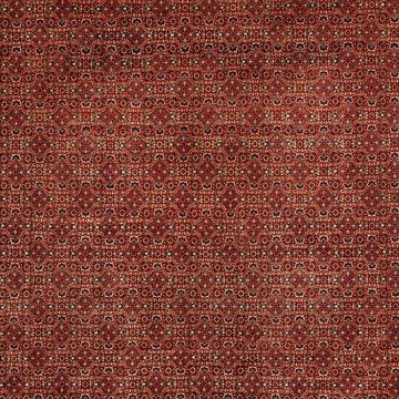 Orientteppich Perser - Bidjar - 384 x 300 cm - dunkelrot, morgenland, rechteckig, Höhe: 15 mm, Wohnzimmer, Handgeknüpft, Einzelstück mit Zertifikat