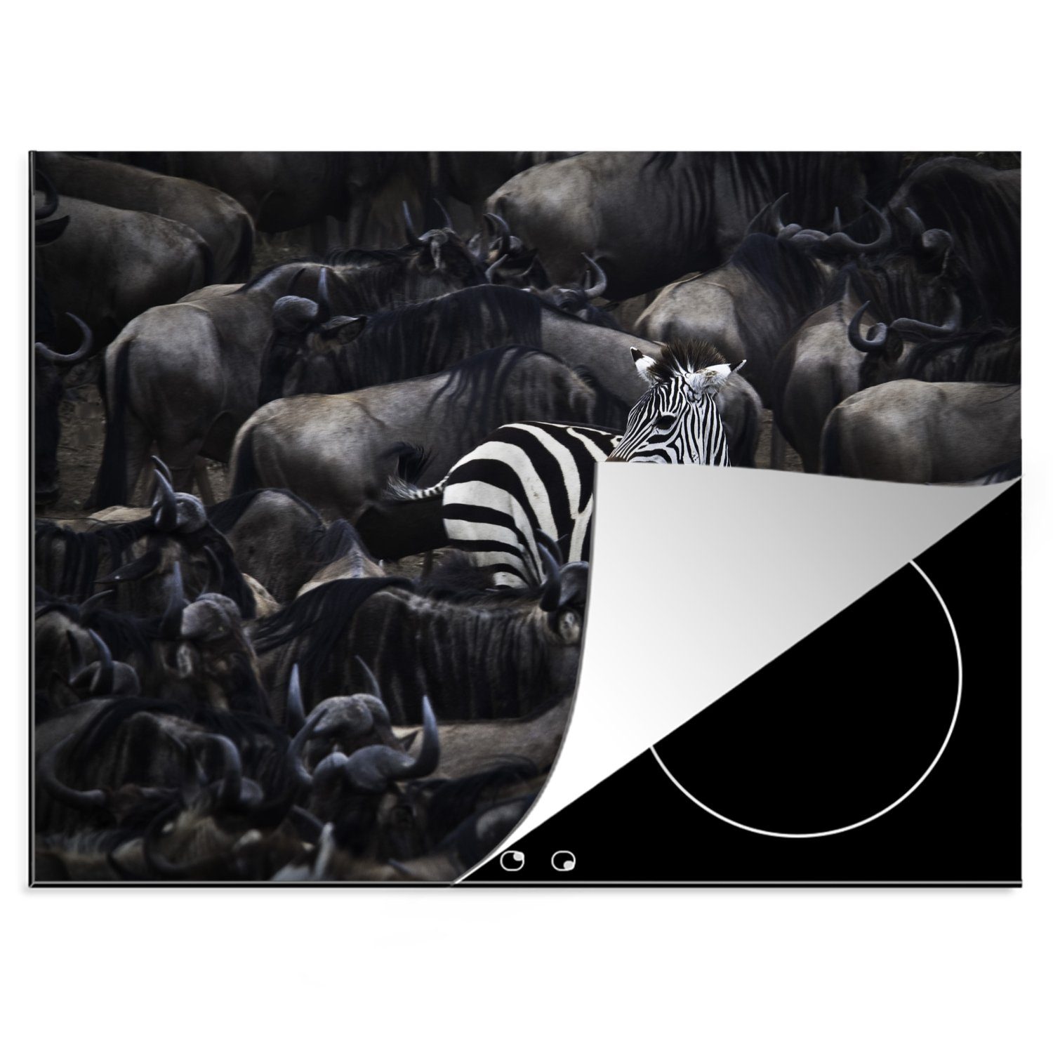 MuchoWow Herdblende-/Abdeckplatte Zebra - Tiere nutzbar, Vinyl, tlg), Arbeitsfläche (1 Mobile - 70x52 Nahaufnahme, cm, Ceranfeldabdeckung