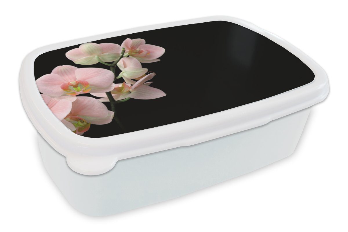 MuchoWow Lunchbox Orchidee - Blumen - Rosa - Stilleben - Flora, Kunststoff, (2-tlg), Brotbox für Kinder und Erwachsene, Brotdose, für Jungs und Mädchen weiß