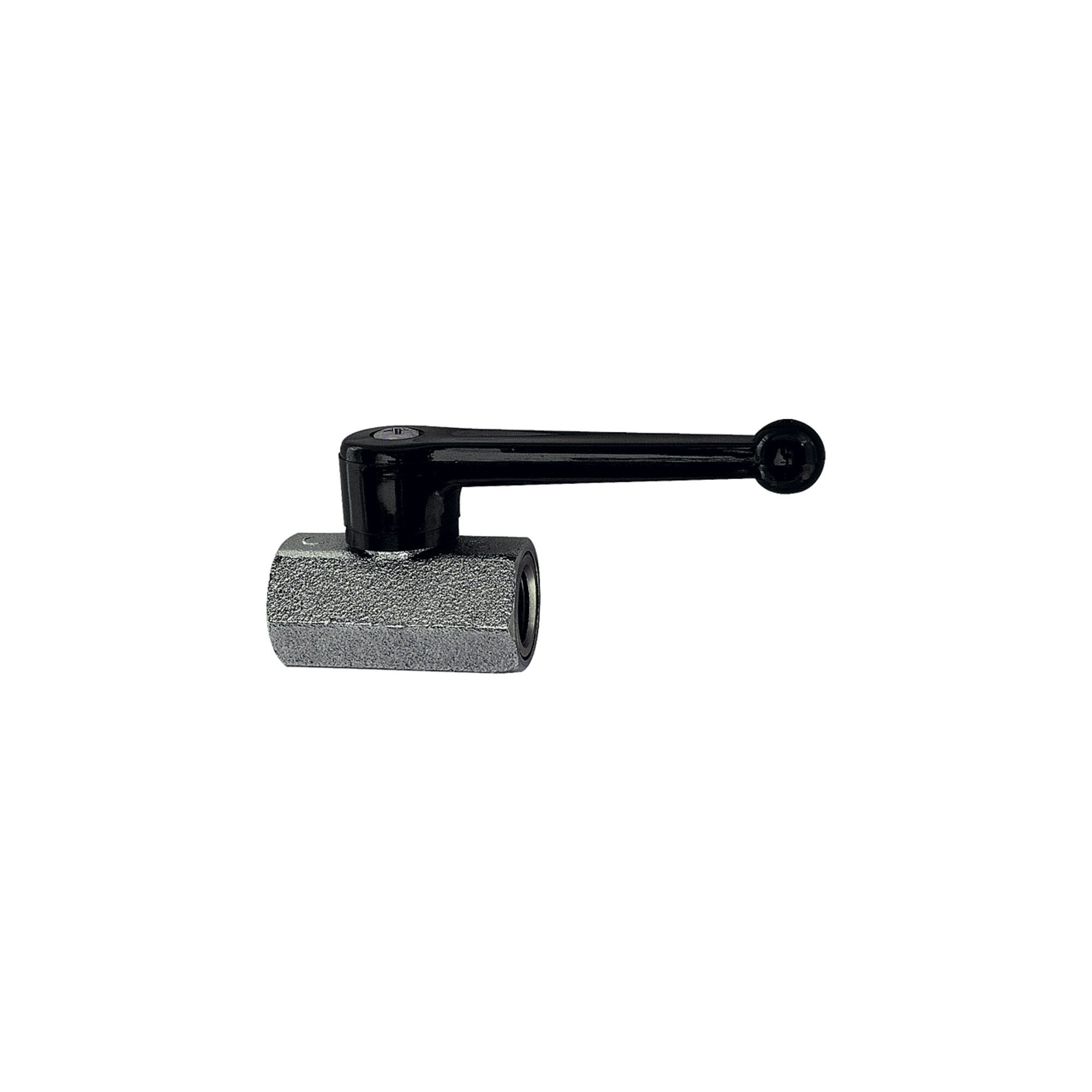 RIEGLER Zubehör-Set Riegler Mini-Kugelhahn, sandgestrahlt, MS vern., Handhebel, G 3/8 IG