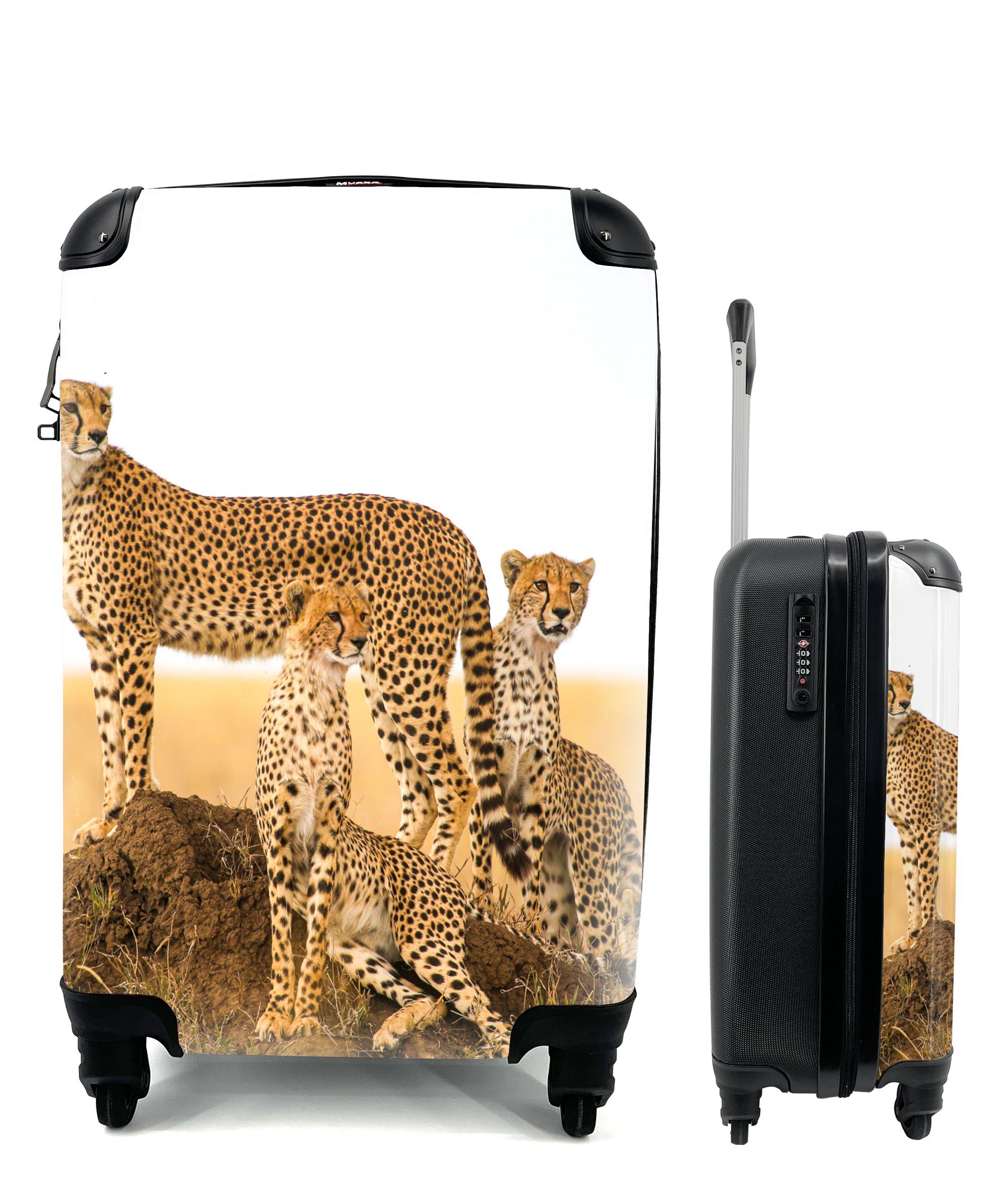 MuchoWow Handgepäckkoffer Gepard - Gras - Natur - Savanne, 4 Rollen, Reisetasche mit rollen, Handgepäck für Ferien, Trolley, Reisekoffer