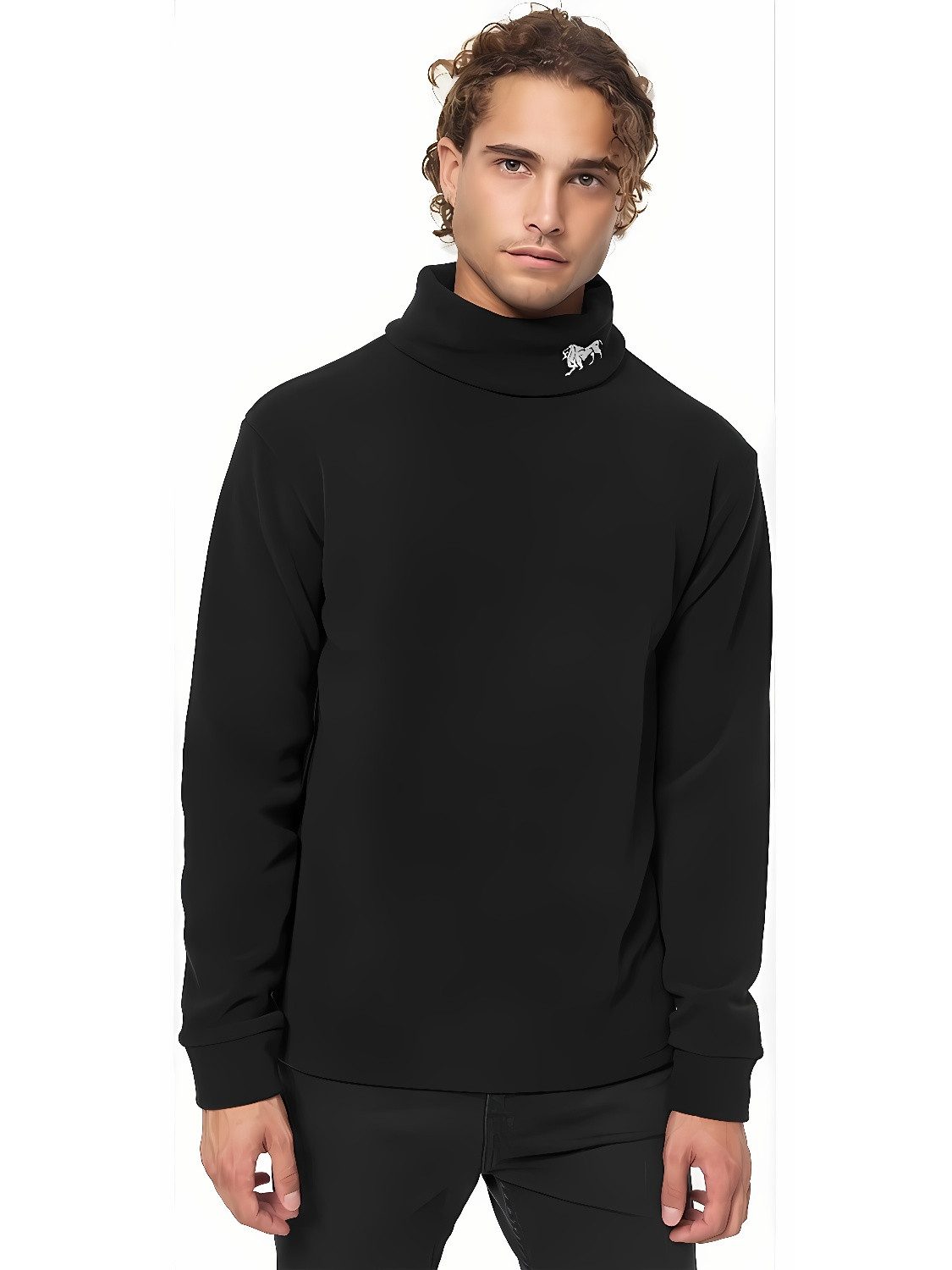 Rollkragenpullover Lonsdale Herren Curdworth