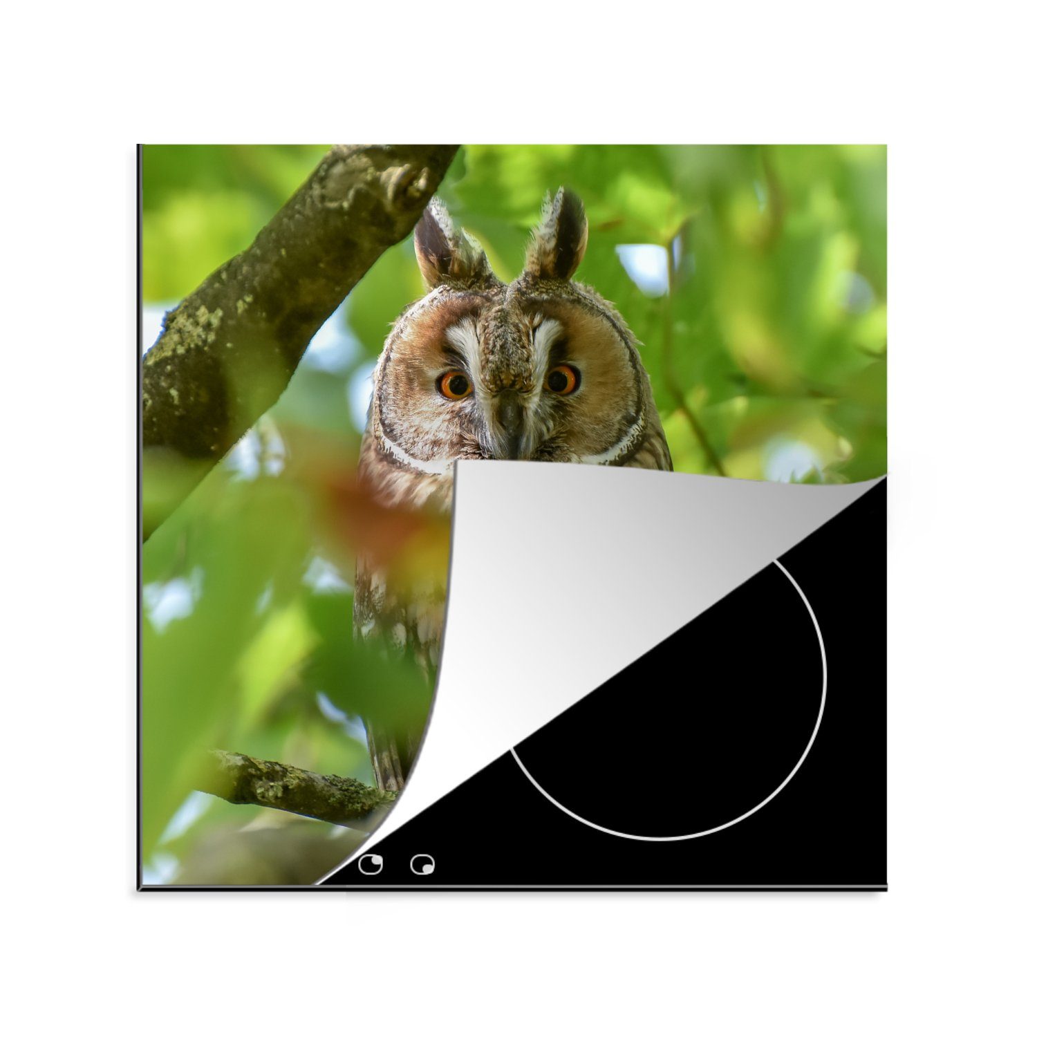 MuchoWow Herdblende-/Abdeckplatte Bild einer Waldohreule inmitten von Blättern, Vinyl, (1 tlg), 78x78 cm, Ceranfeldabdeckung, Arbeitsplatte für küche