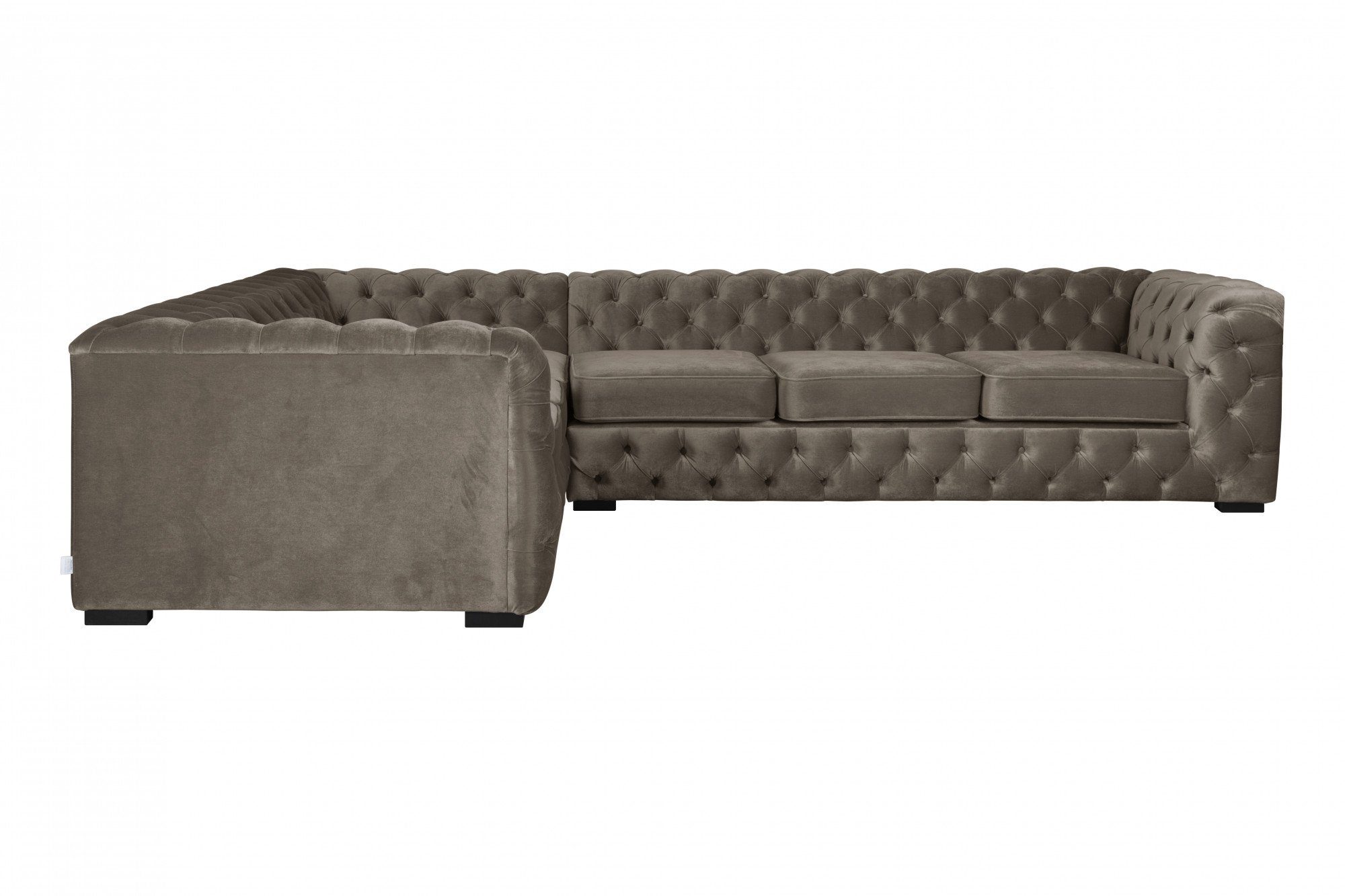 Home affaire Chesterfield-Sofa KALINA L-Form, hochwertig günstig online kaufen