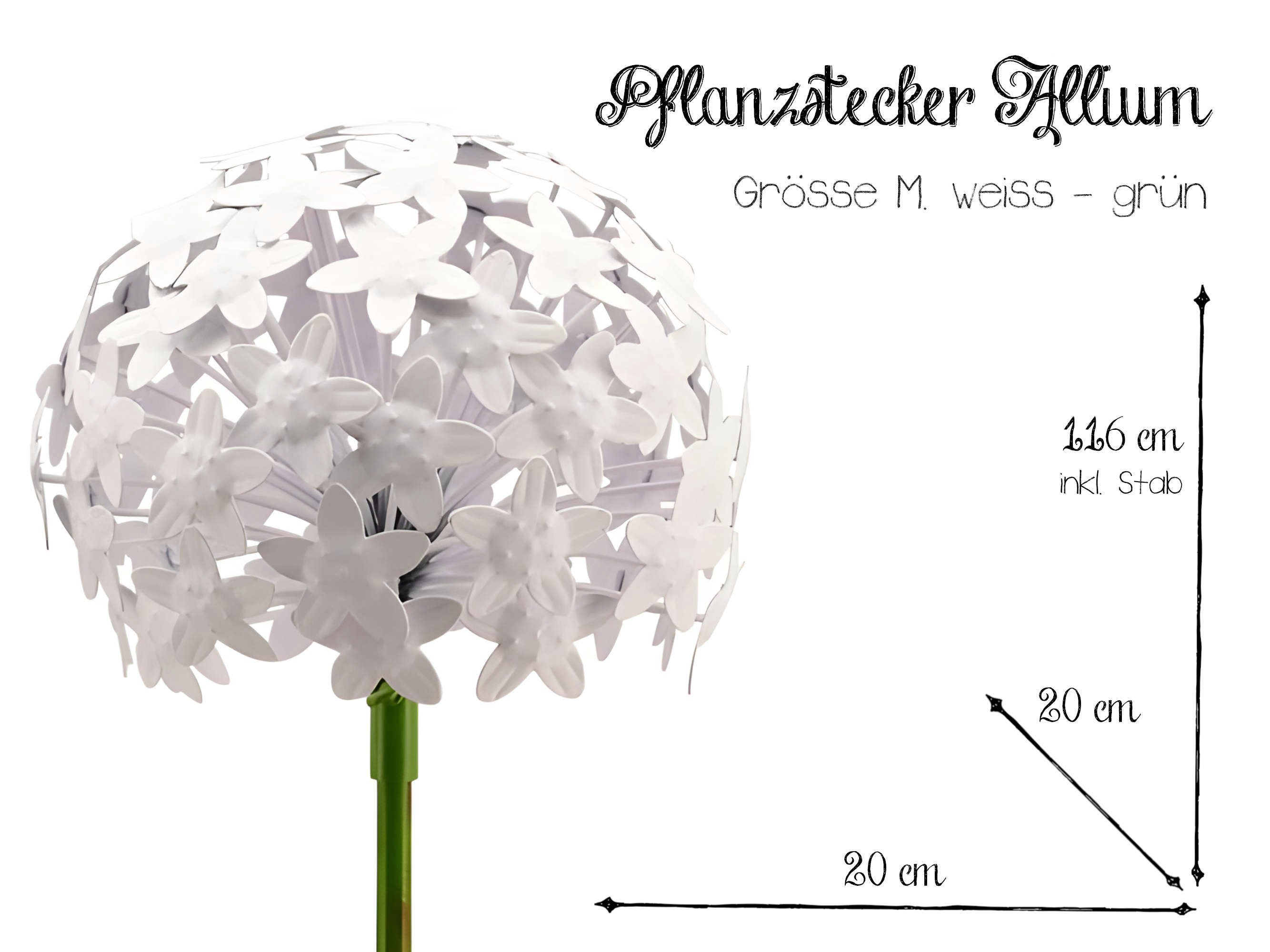 Paulslandhaus Gartenstecker Pflanzstecker Allium Weiß, Beetstecker, Gartens günstig online kaufen