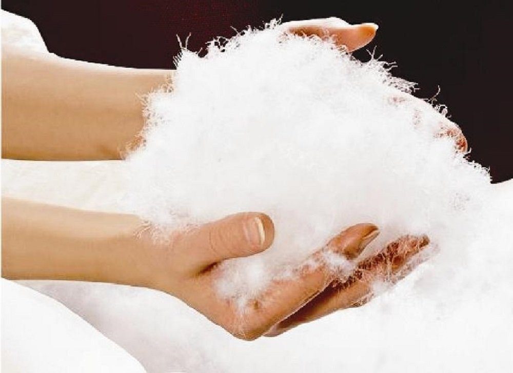 Canada Daunenkissen Gänse Daune canadian goose Gänse Daunen Kopfkissen, Fül günstig online kaufen