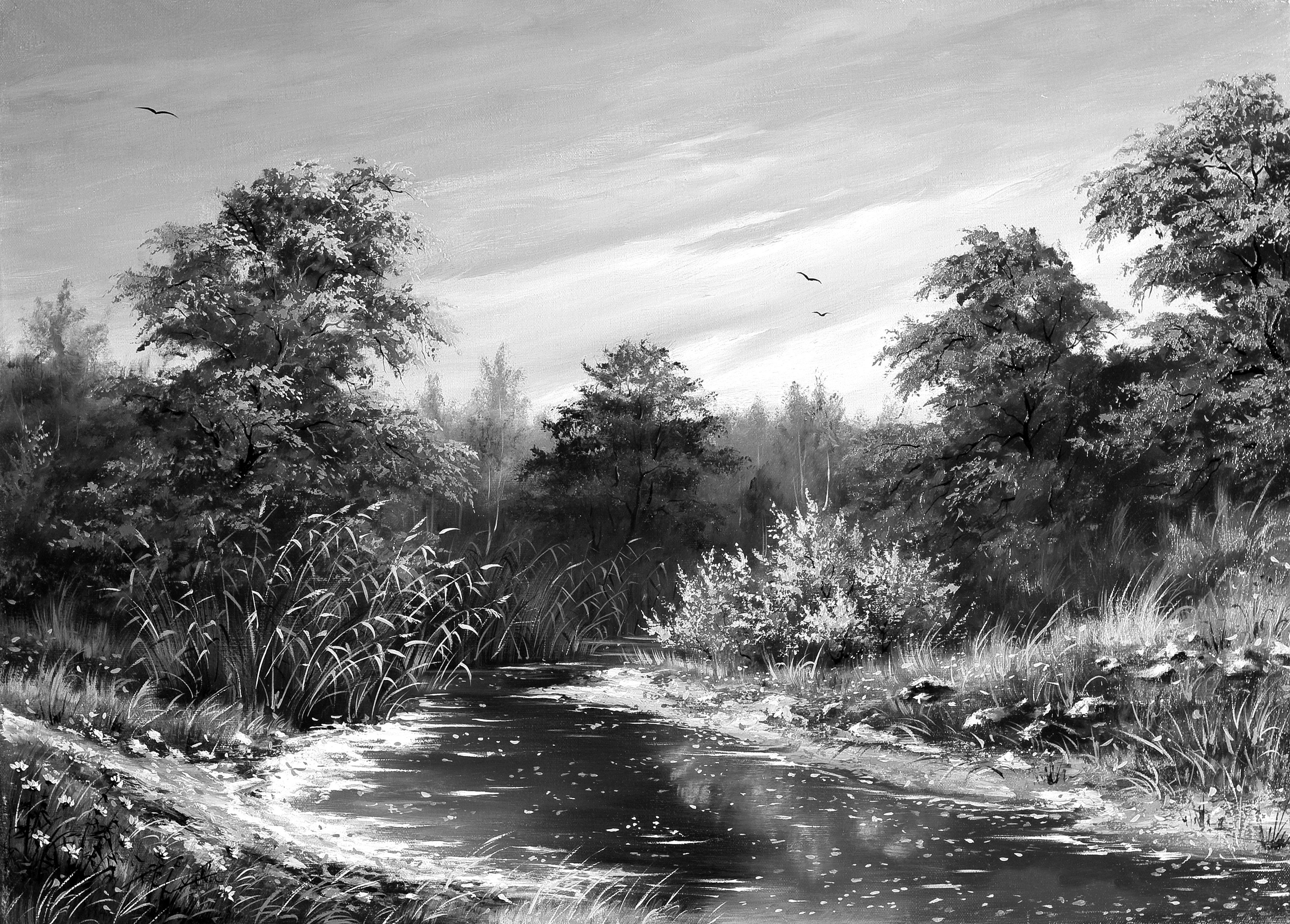 Landschaft & Weiß Fototapete Schwarz Papermoon