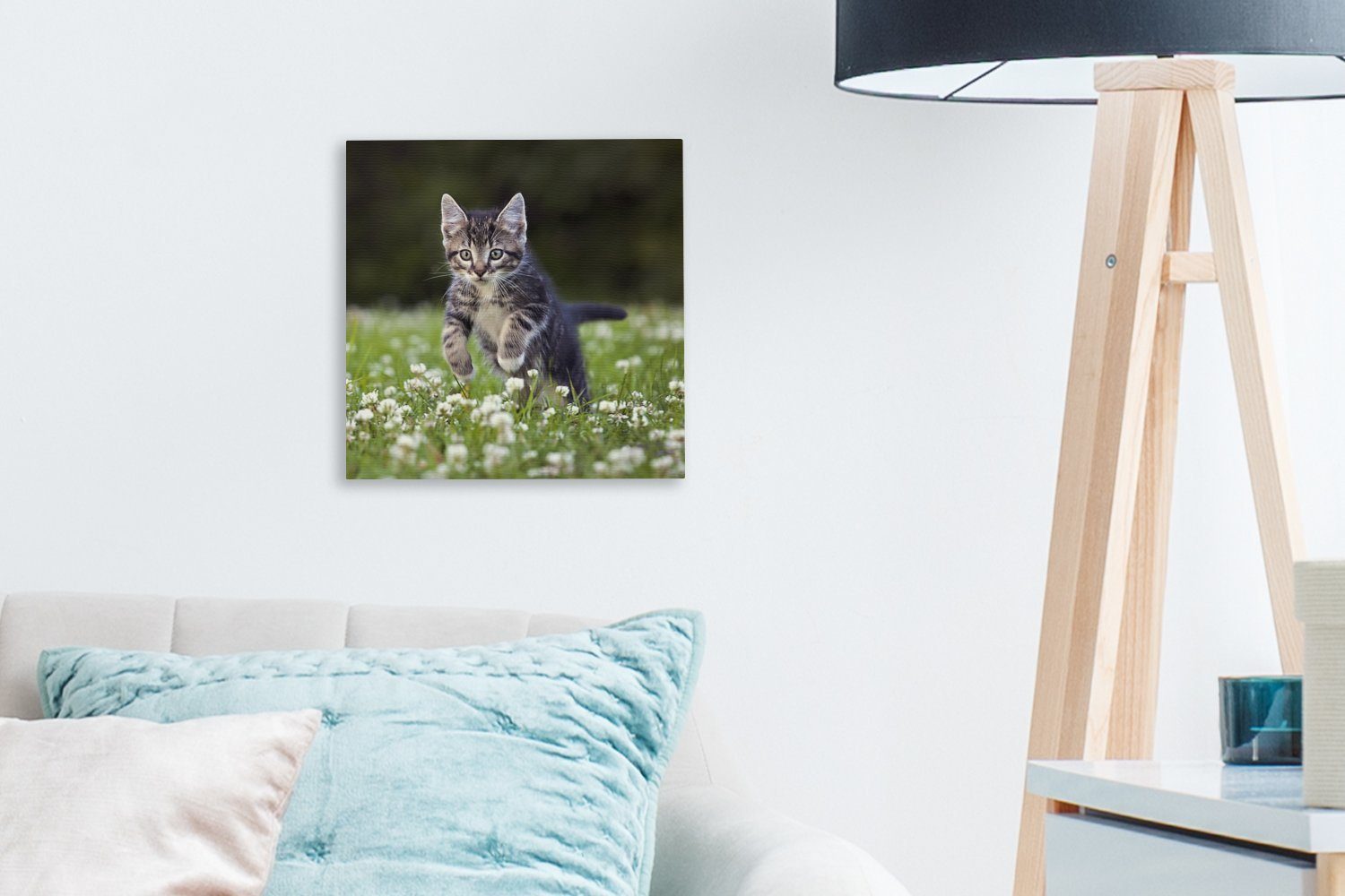 Ein Kätzchen Leinwandbild Bilder Schlafzimmer St), Wohnzimmer (1 OneMillionCanvasses® in einem für Kleefeld, Leinwand