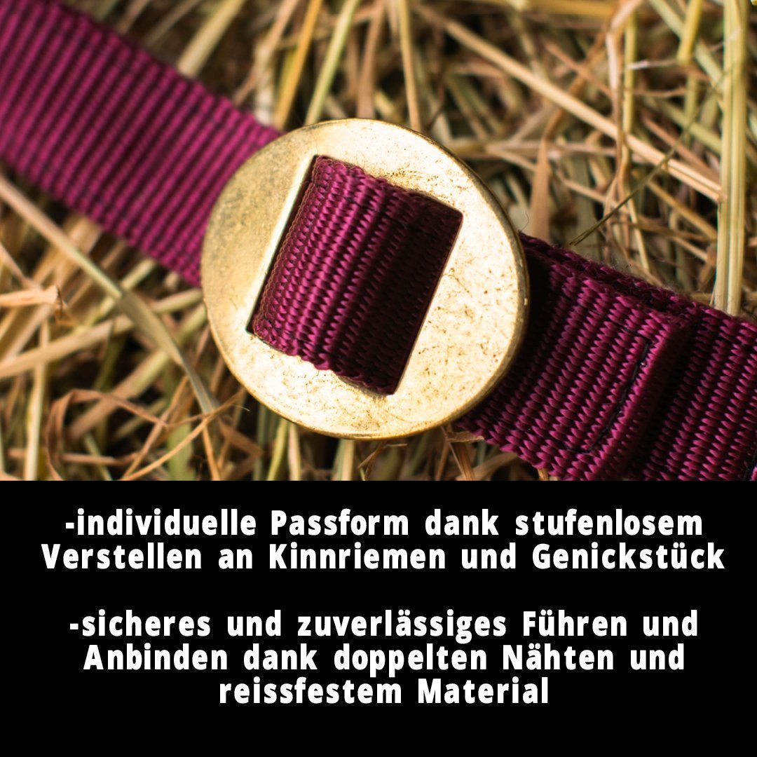 Pferdelinis Halfter Halfter für Pferde 2-Fach verstellbar an Kinnriemen und Genickstück, zweifach verstellbar
