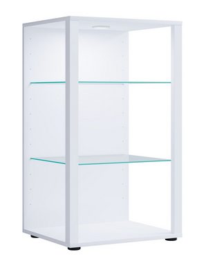 VCM Standvitrine Holz Glas Stand Vitrine Sammelvitrine Glasol XL