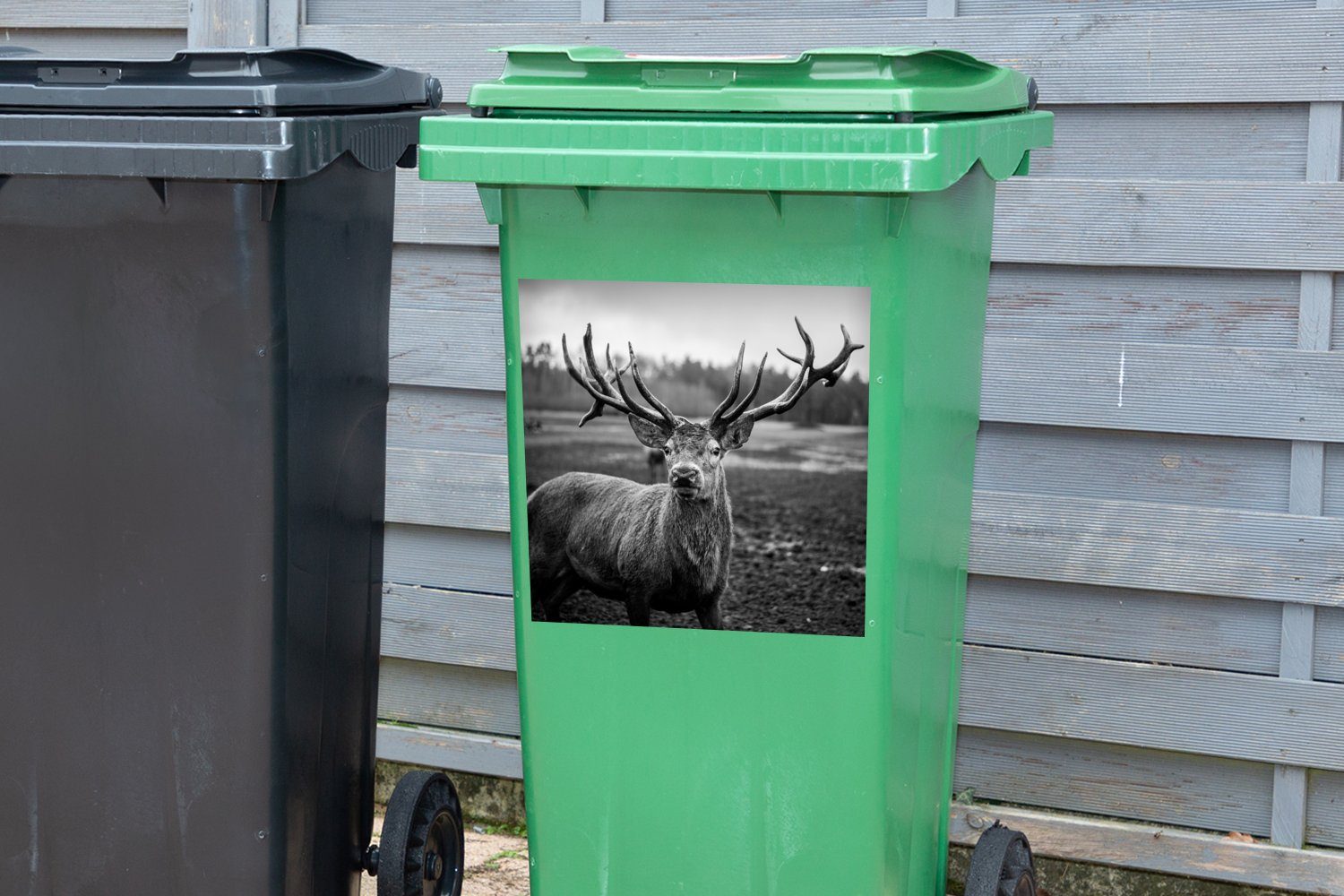 - und Container, - Tiere Mülltonne, Abfalbehälter (1 Mülleimer-aufkleber, Wandsticker Hirsch MuchoWow Geweih Sticker, Schwarz - St), Natur - weiß