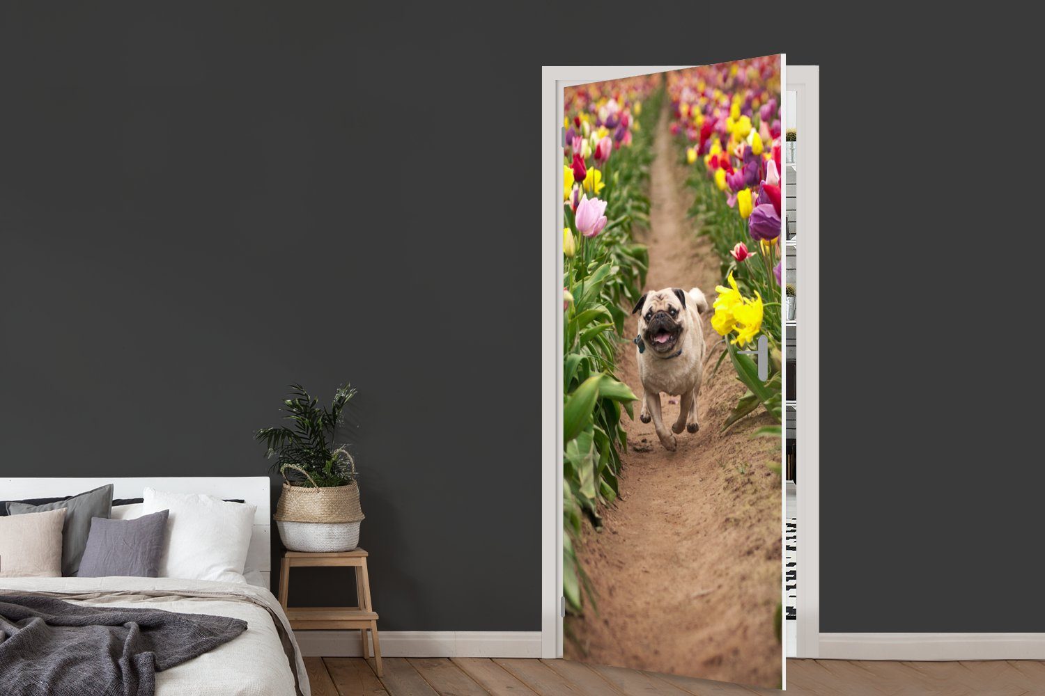 MuchoWow Türtapete - bedruckt, Tür, Mops St), für 75x205 Tulpen Türaufkleber, (1 Fototapete Blumen, - Matt, cm