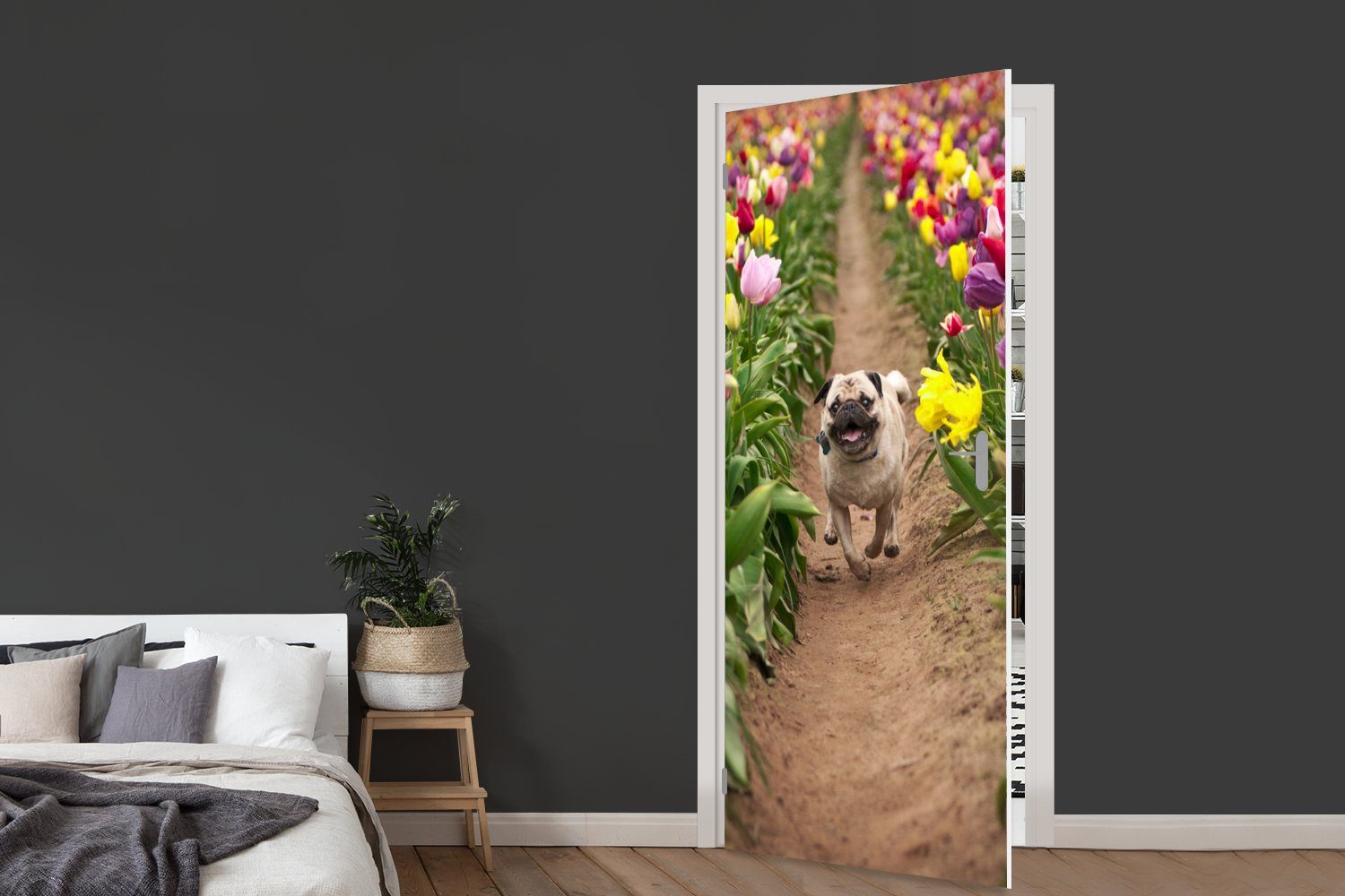 Türtapete St), MuchoWow Mops Blumen, 75x205 - bedruckt, Fototapete Matt, (1 Türaufkleber, - cm Tulpen Tür, für