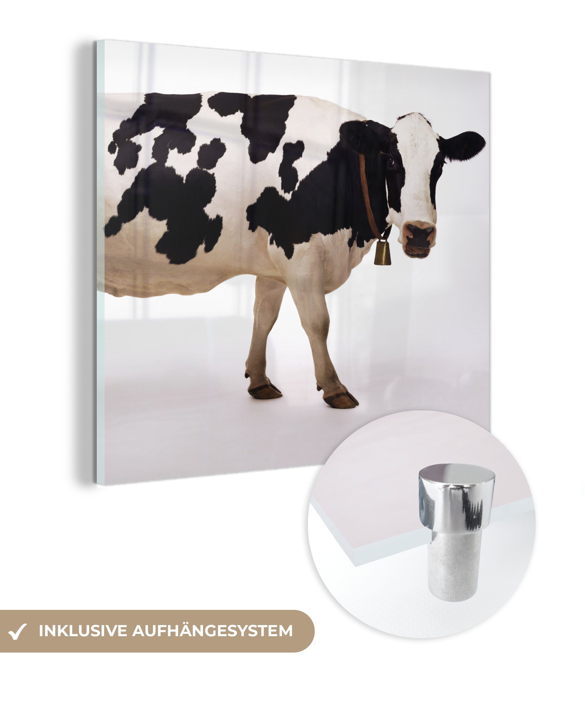 MuchoWow Acrylglasbild Kuh mit Glocke auf weißem Hintergrund, (1 St), Glasbilder - Bilder auf Glas Wandbild - Foto auf Glas - Wanddekoration