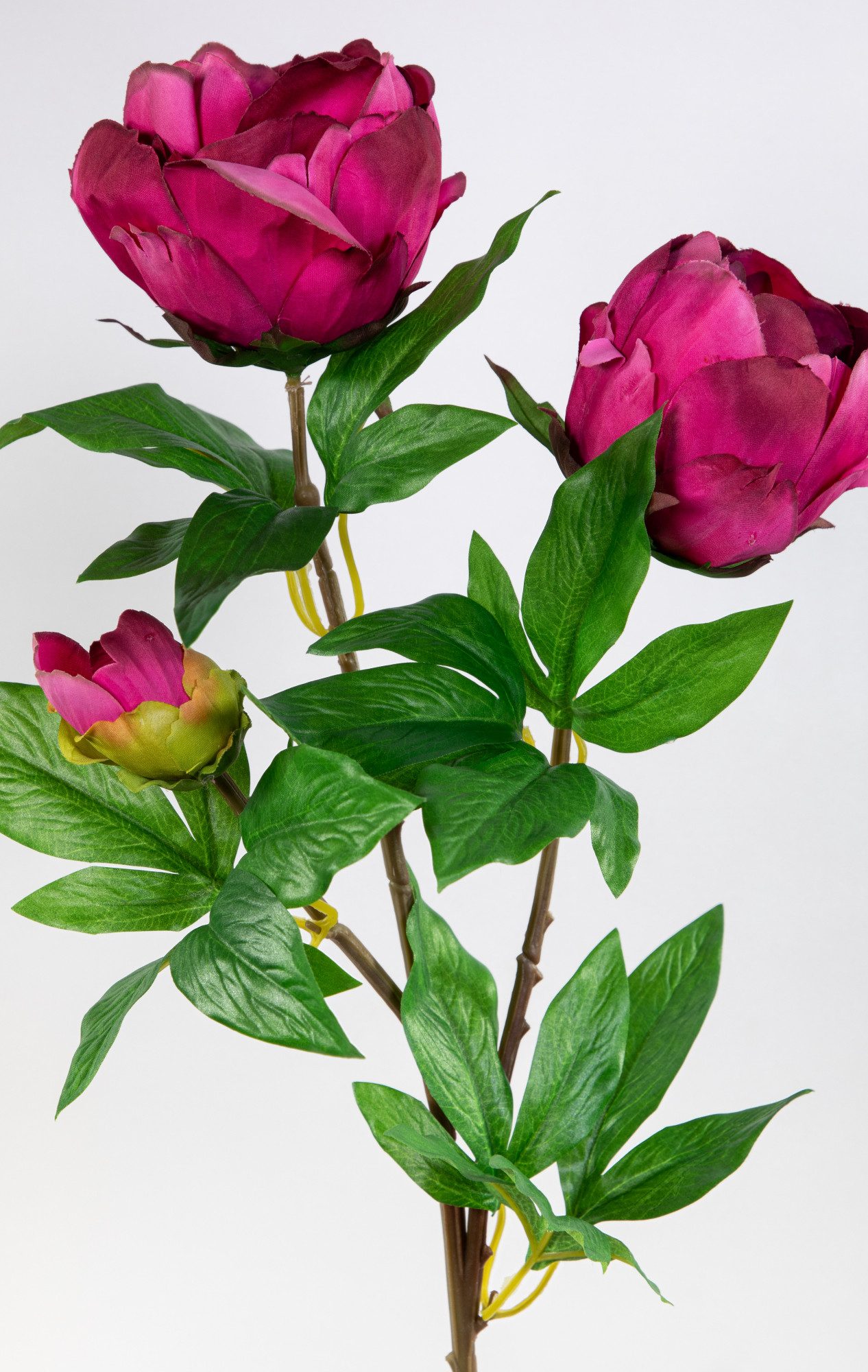 Kunstblume Pfingstrose Nature 68cm GA Seidenblumen künstliche Blumen Päonie, Seidenblumen Roß, Höhe 68 cm, Fuchsia – Bild 4 von 5