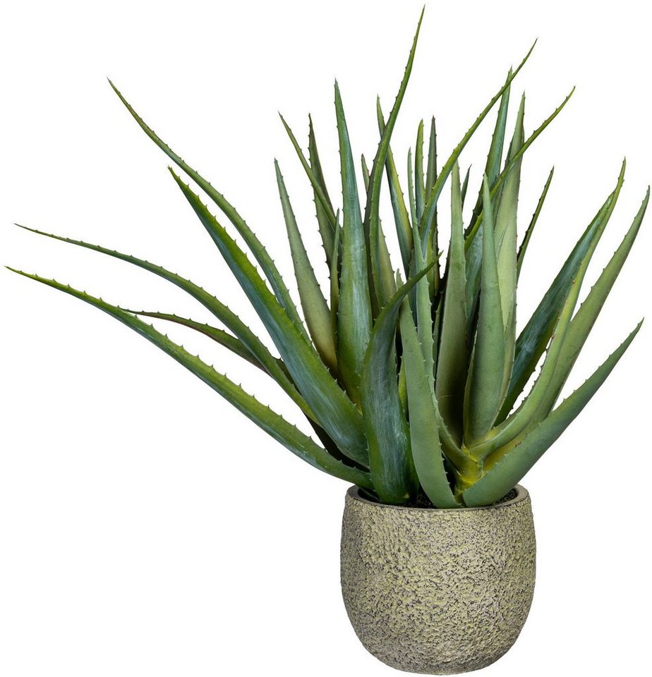 green, Deko-Sukkulente Creativ Aloe, Natur Höhe Zimmerpflanze Liebevoll der Künstliche Aloe cm, nachempfunden 48