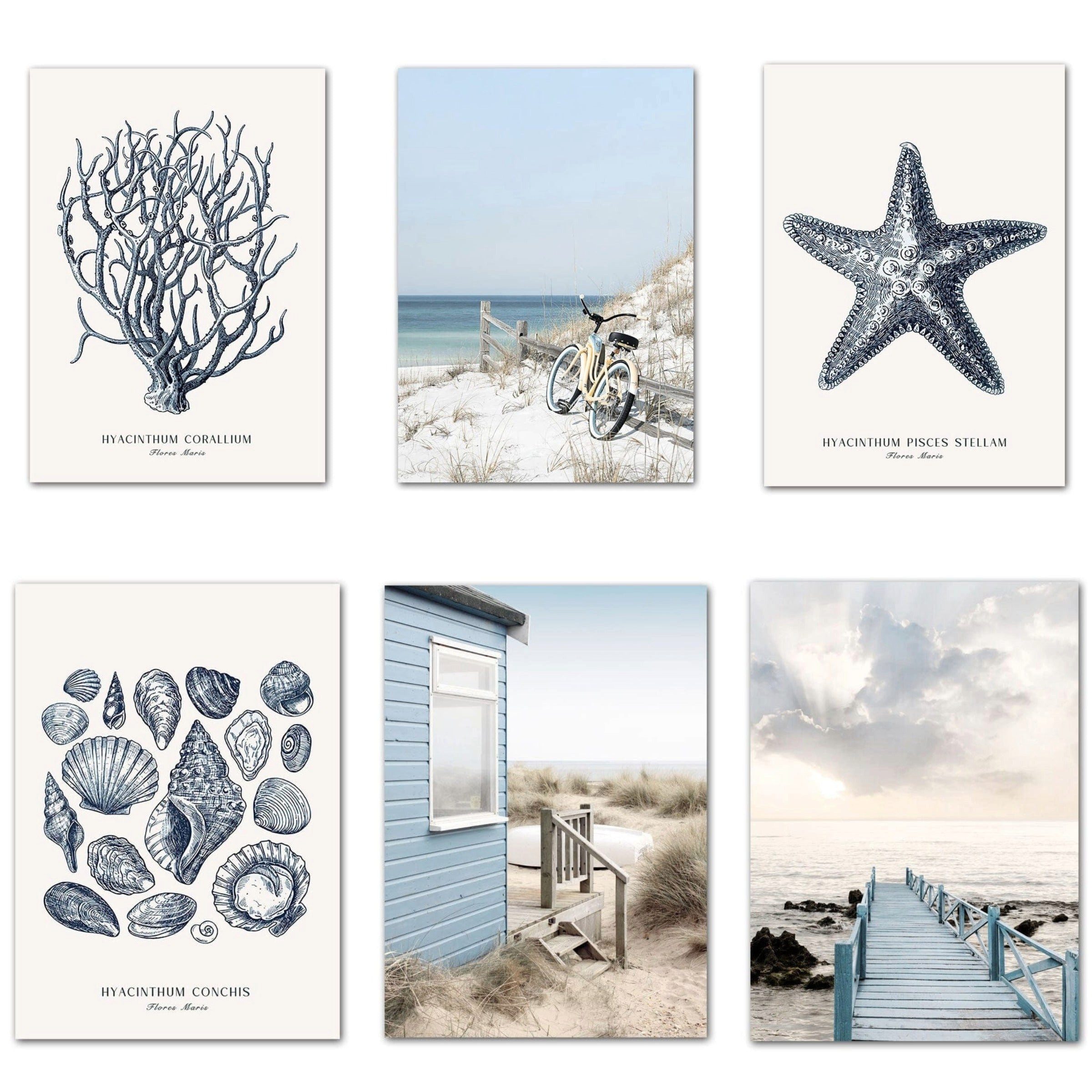 JUSTGOODMOOD Poster Strand Hütte Muscheln Korallen Ozean Meer als Deko Print ohne Rahmen 1, E (1 St)
