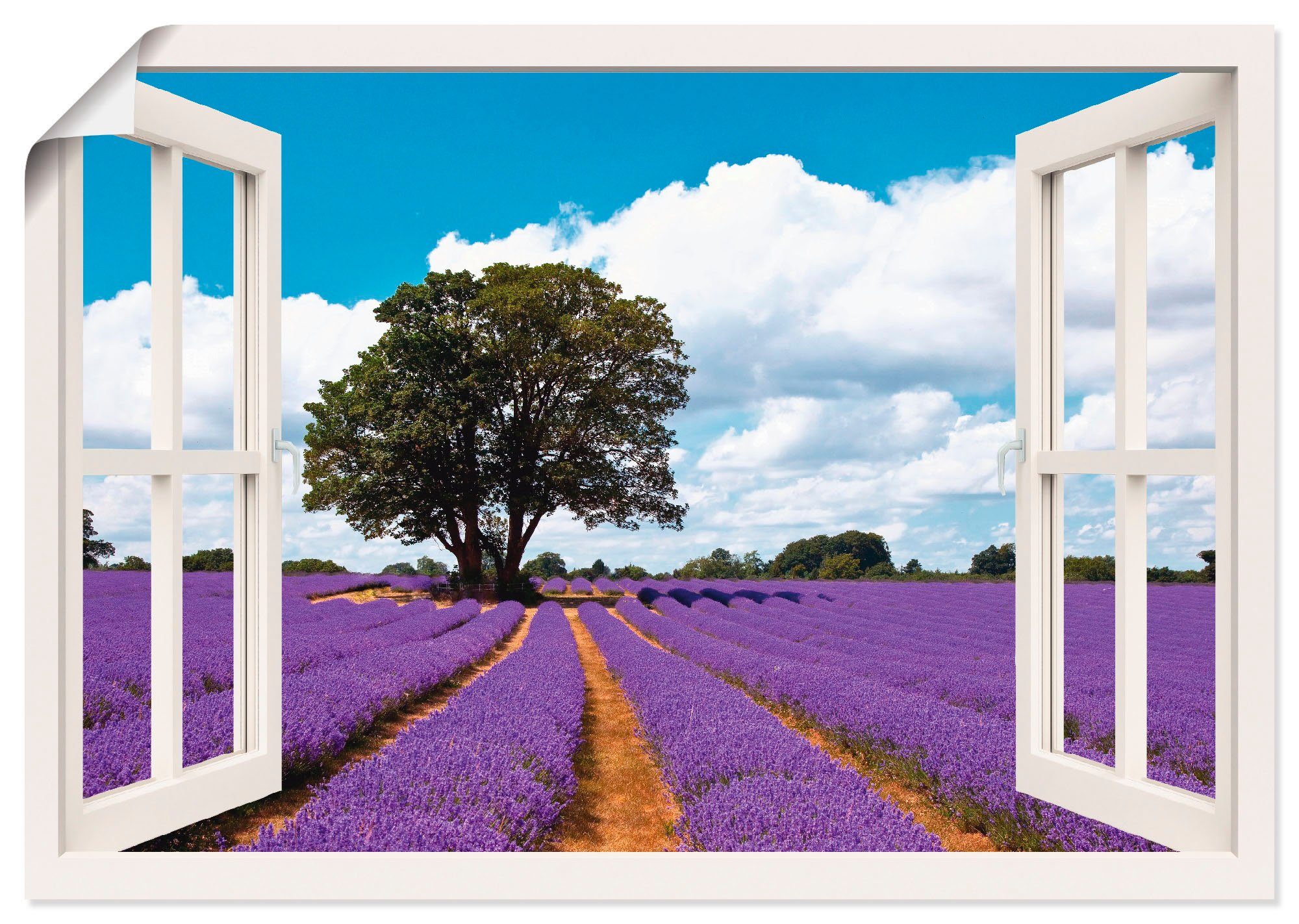 Artland Wandbild Fensterblick Lavendelfeld Im Sommer Fensterblick 1 Stuck In Vielen Grossen Produktarten Leinwandbild Poster Wandaufkleber Wandtattoo Auch Fur Badezimmer Geeignet Online Kaufen Otto